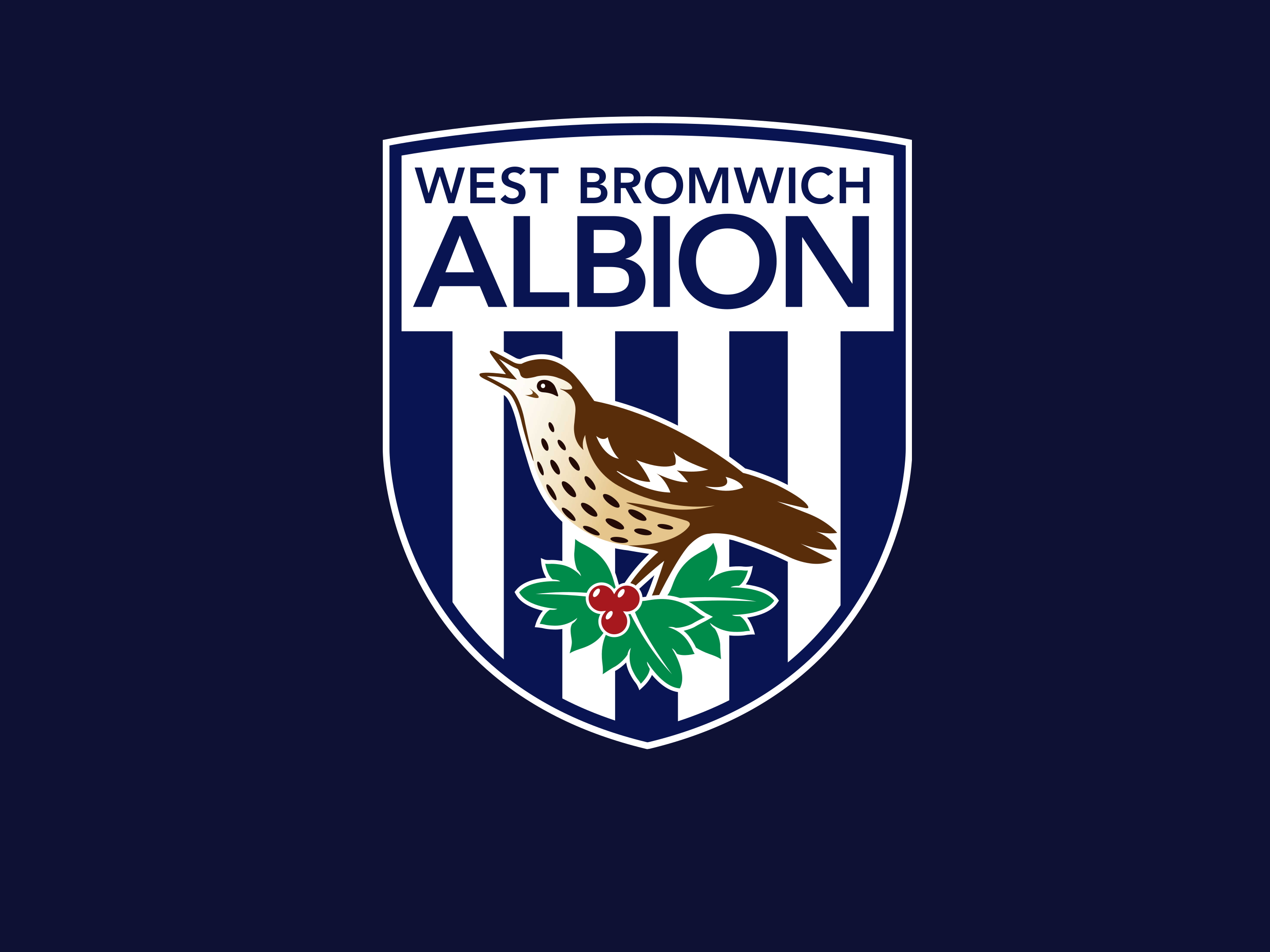 Tickets  West Bromwich Albion