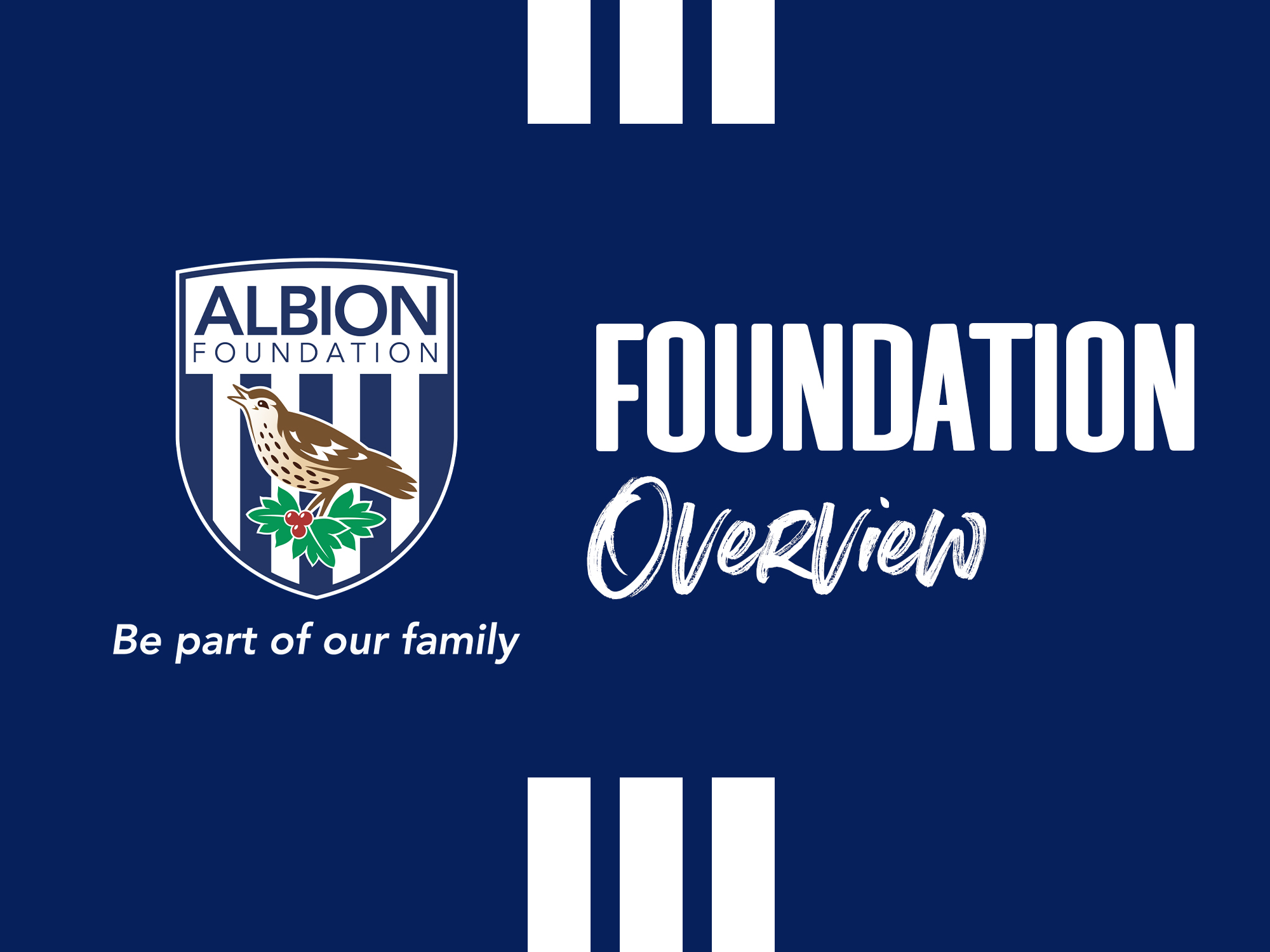 The Albion Foundation Overview
