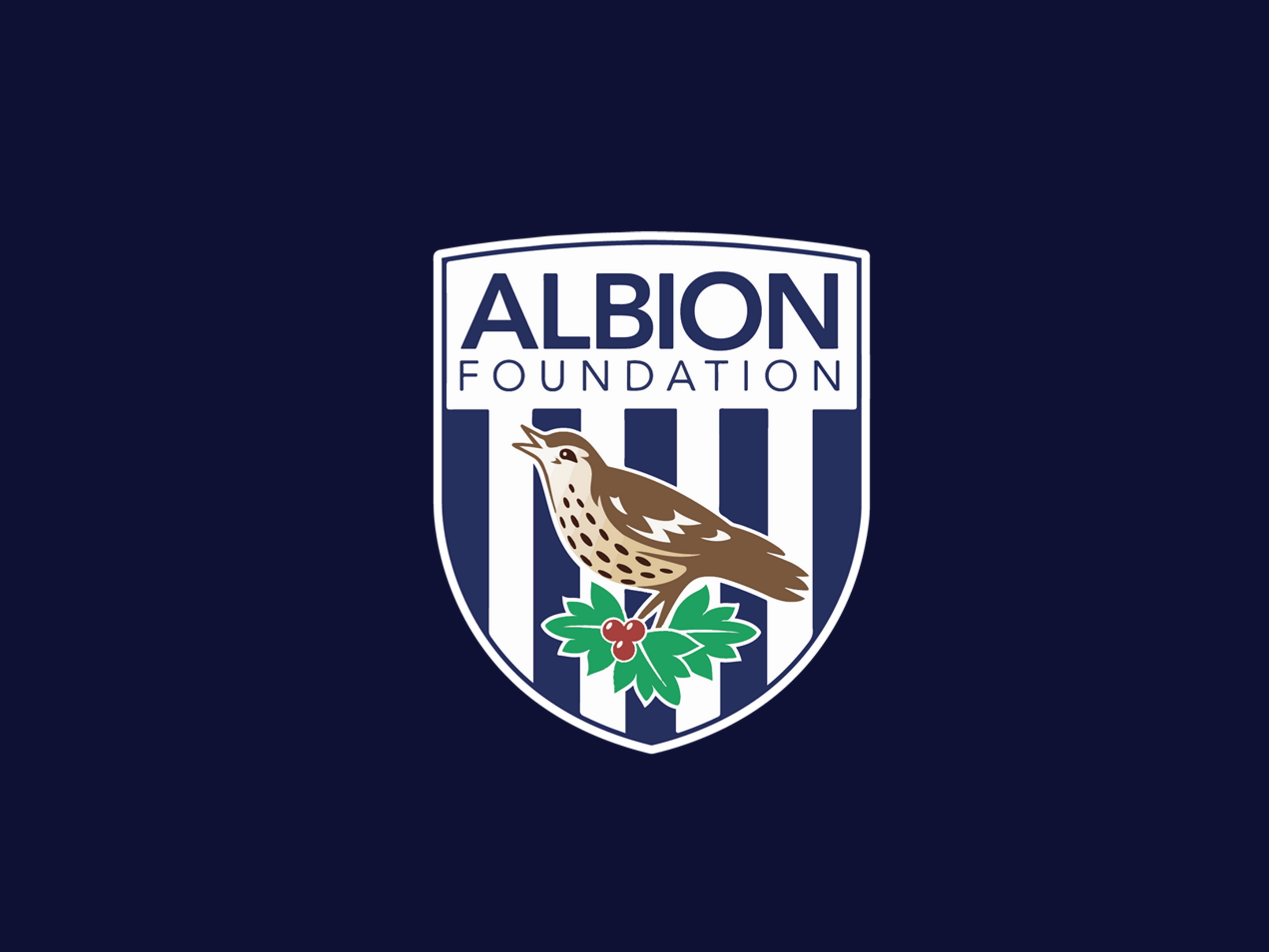 Albion Foundation