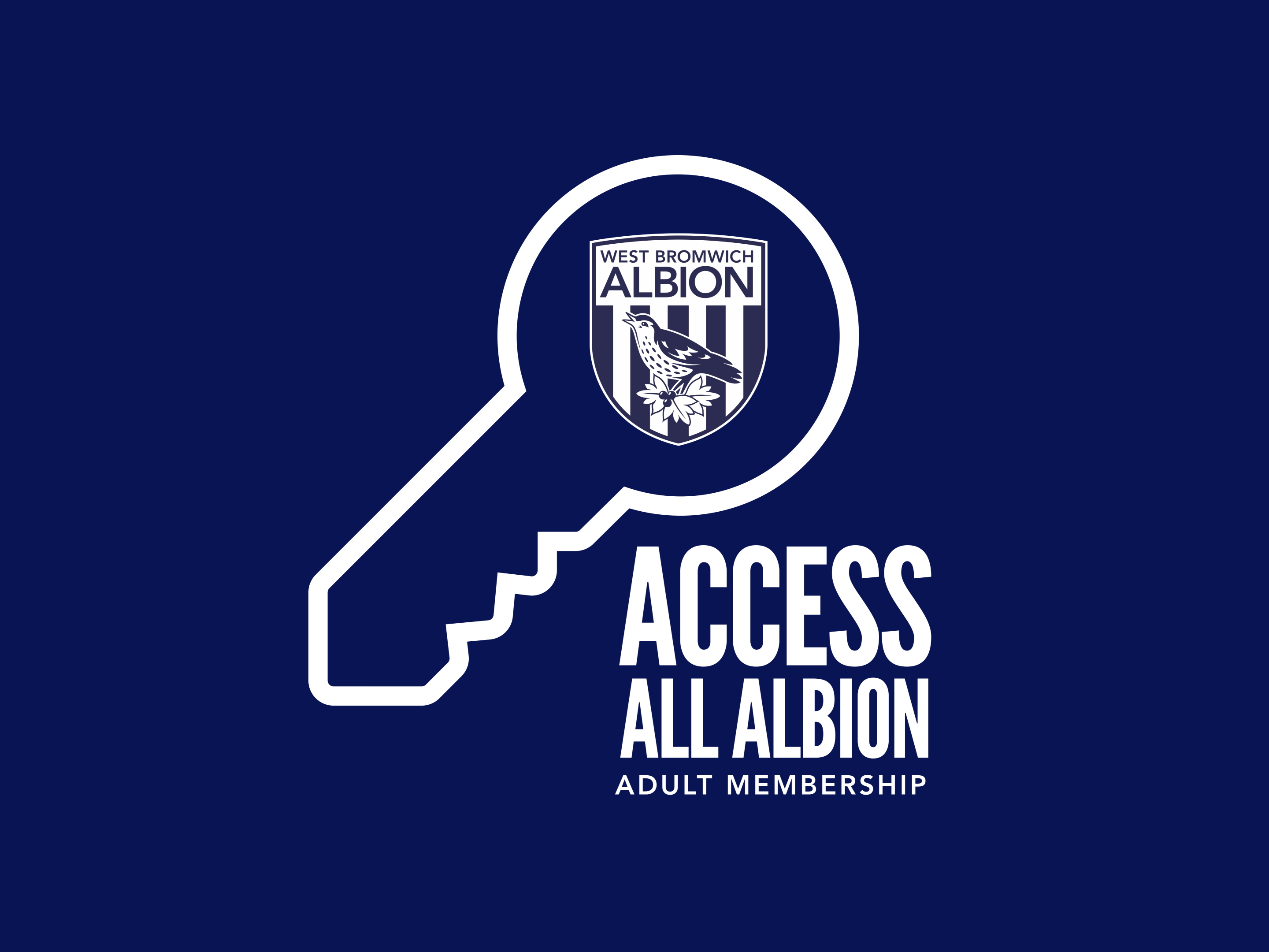 Access All Albion