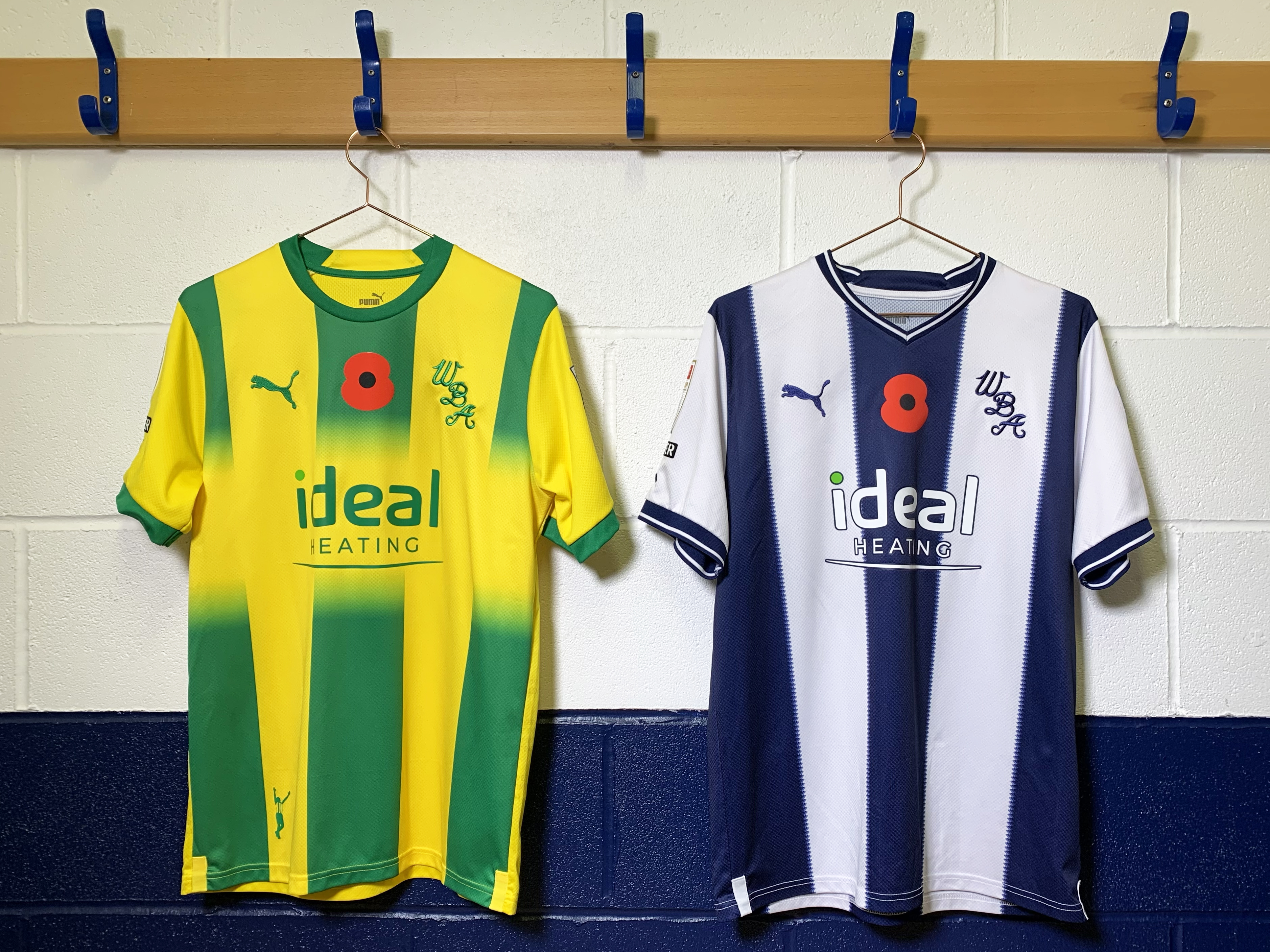 An image of Albion's home (blue and white) and away (yellow and green) shirts hung up with poppies on them