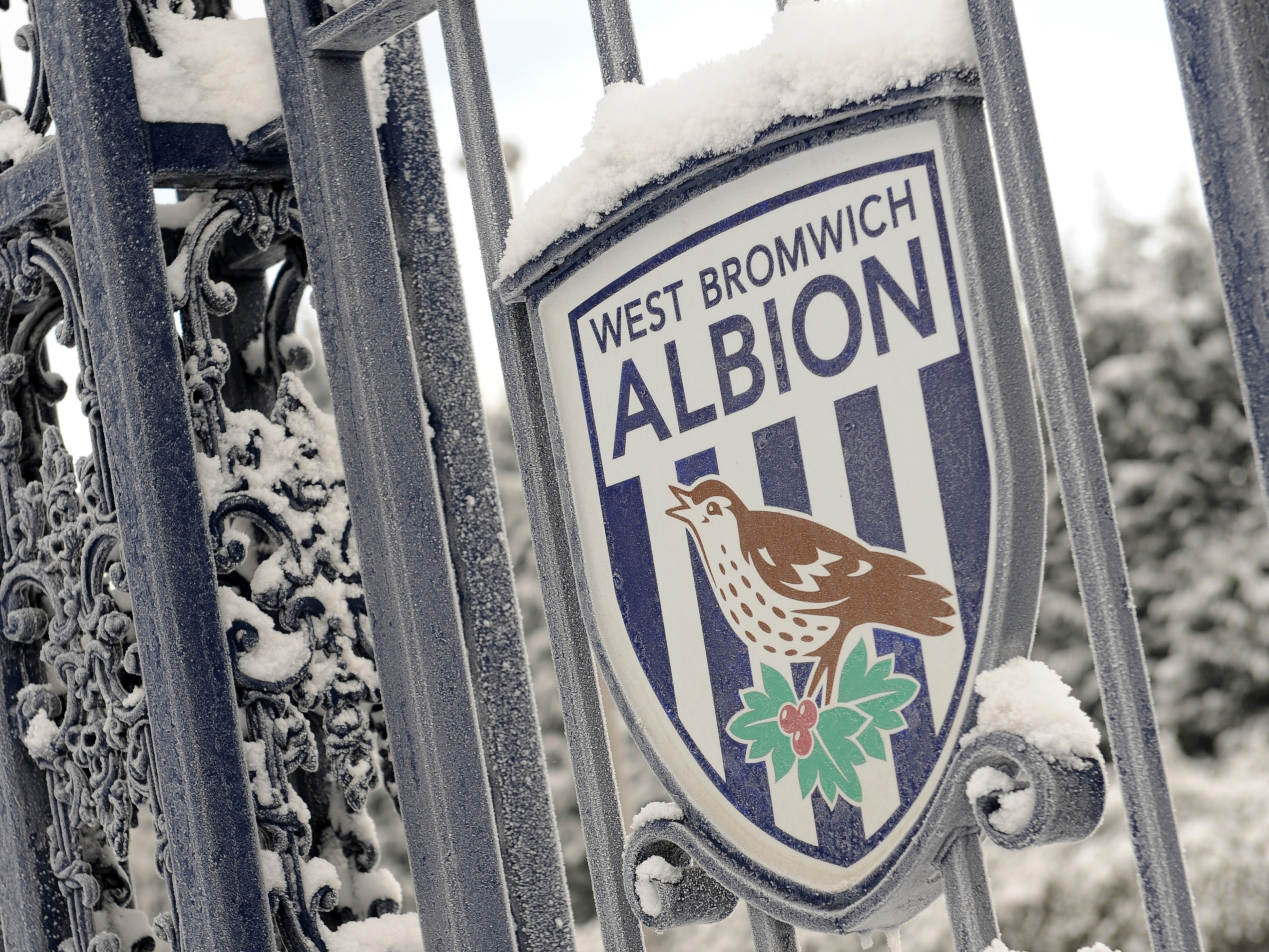 Albion badge on the Astle Gates frosting