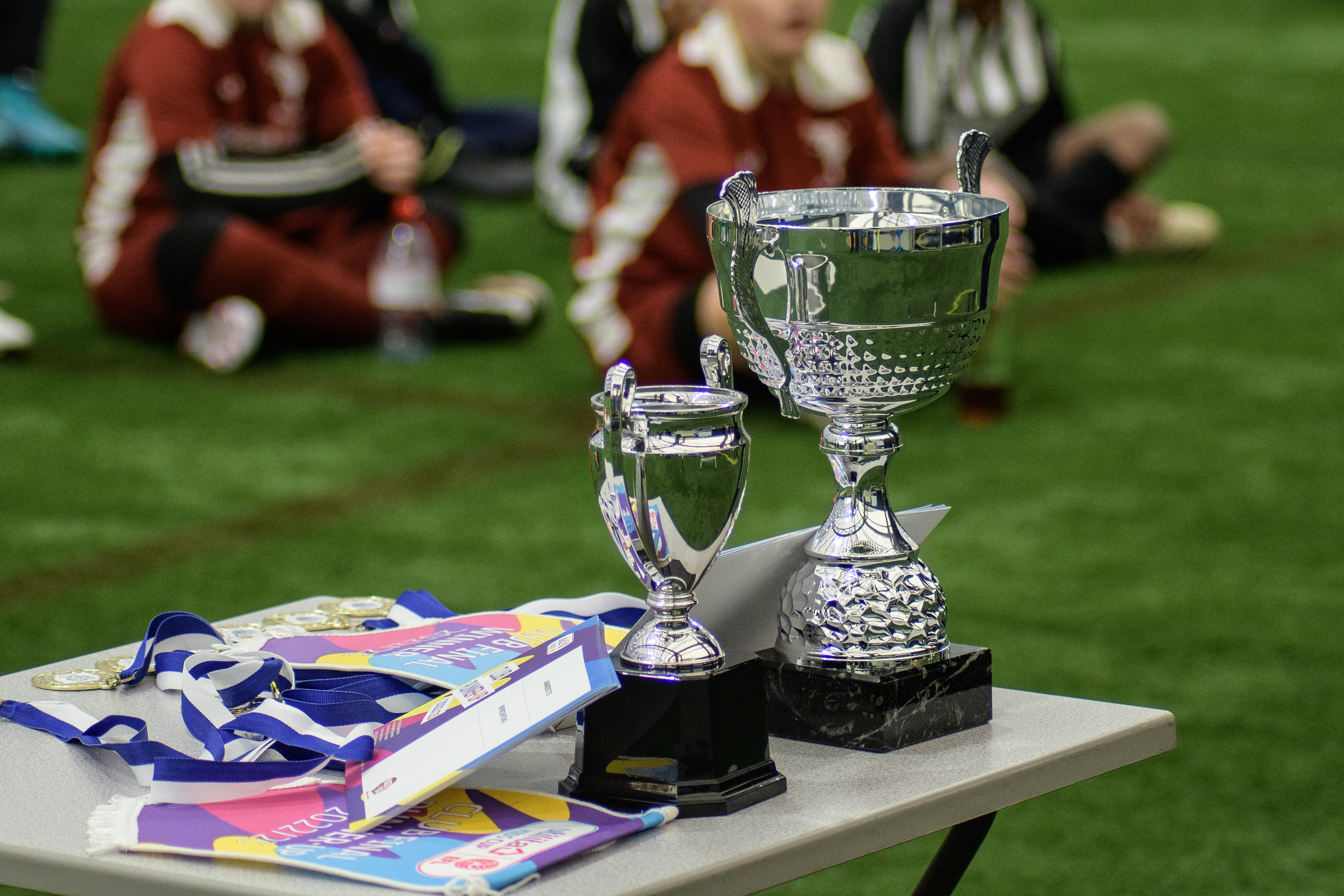 Utility Cup and medals on presentation table