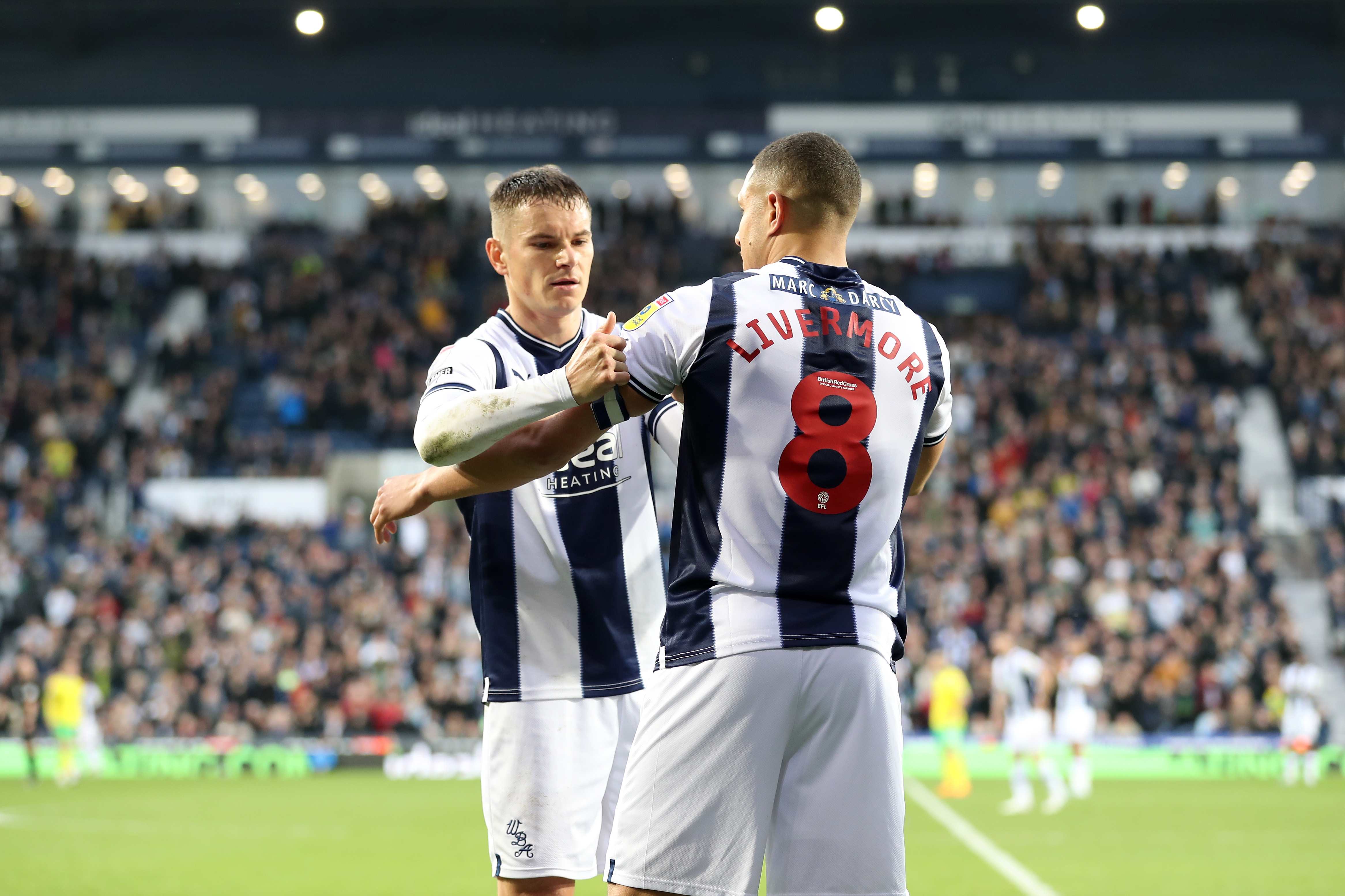 Norwich victory at The Hawthorns 30