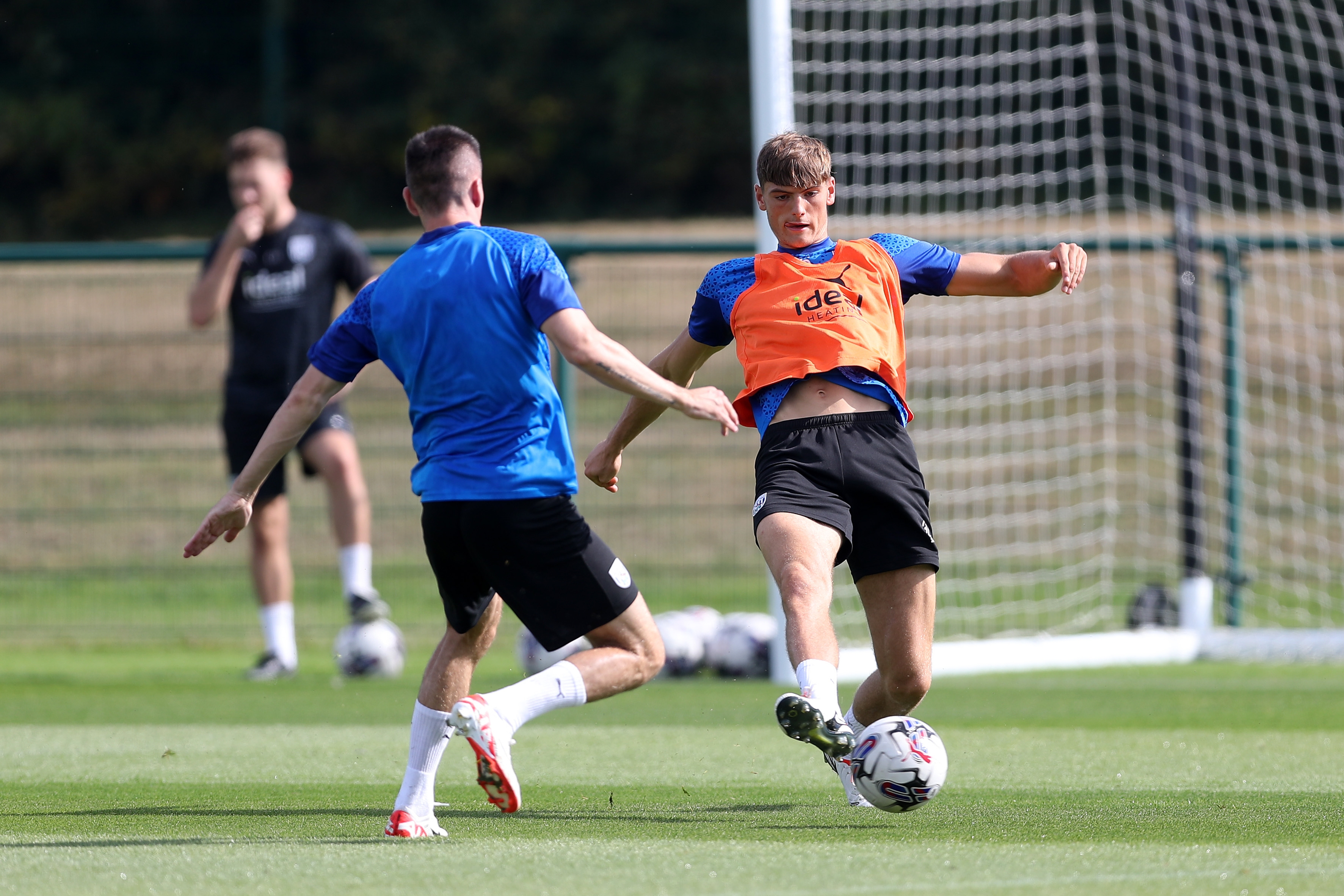 Albion players take part in training over the international break.