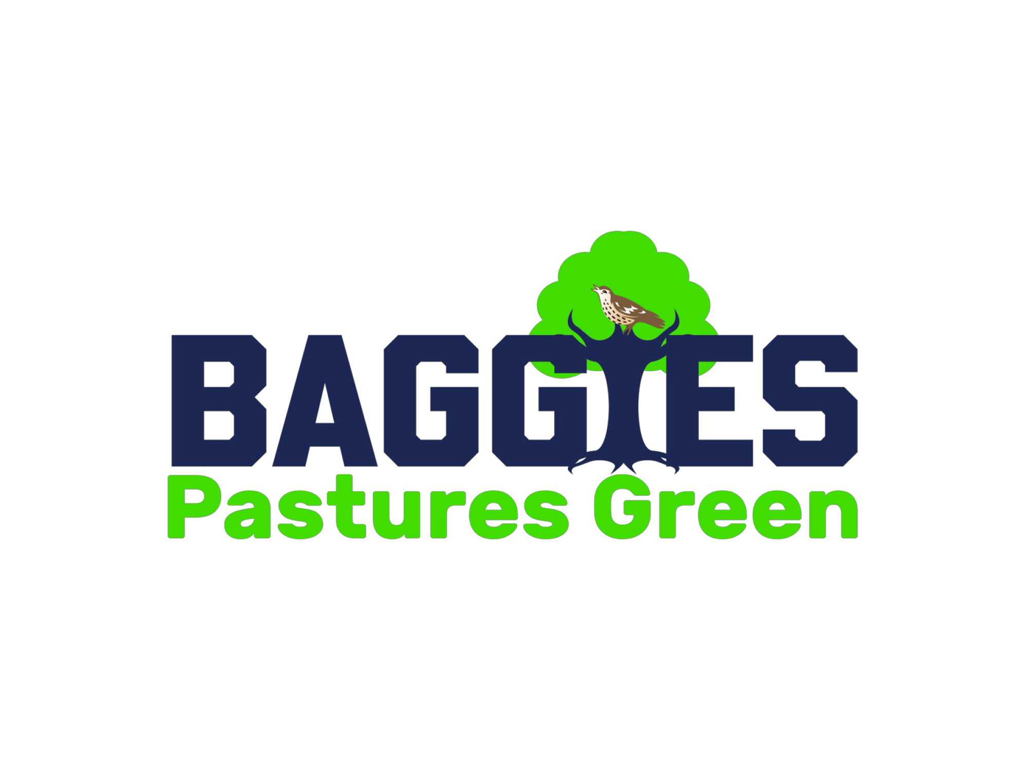 Baggies Pastures Green