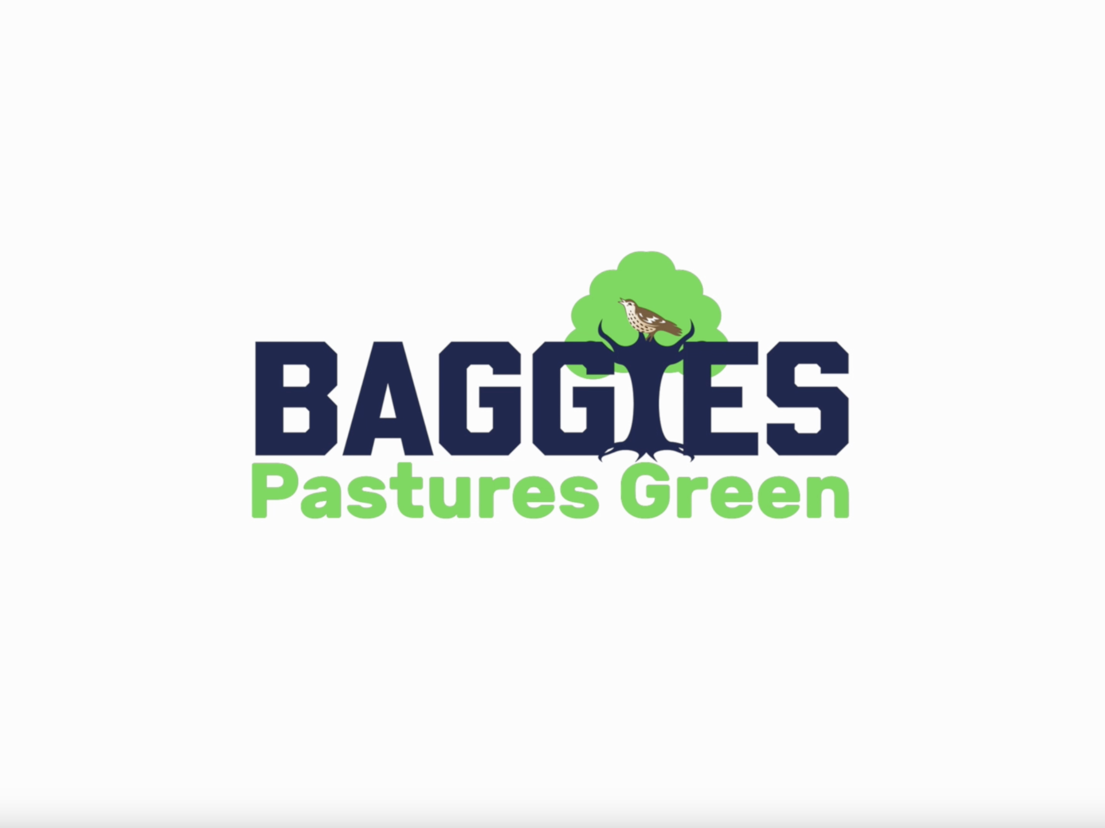 A logo for Albion's sustainability working group, Baggies Pastures Green