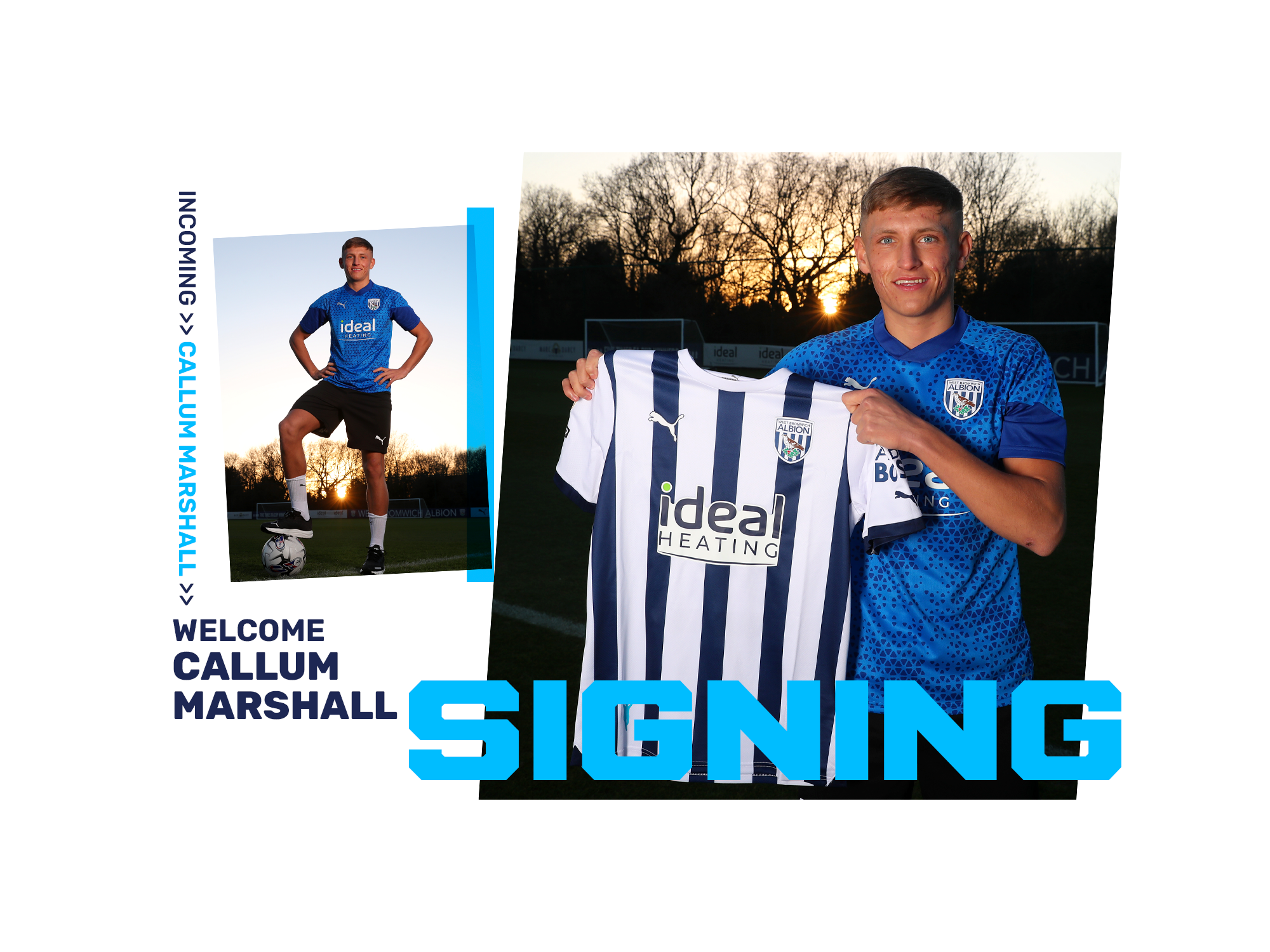 Callum Marshall joins Albion