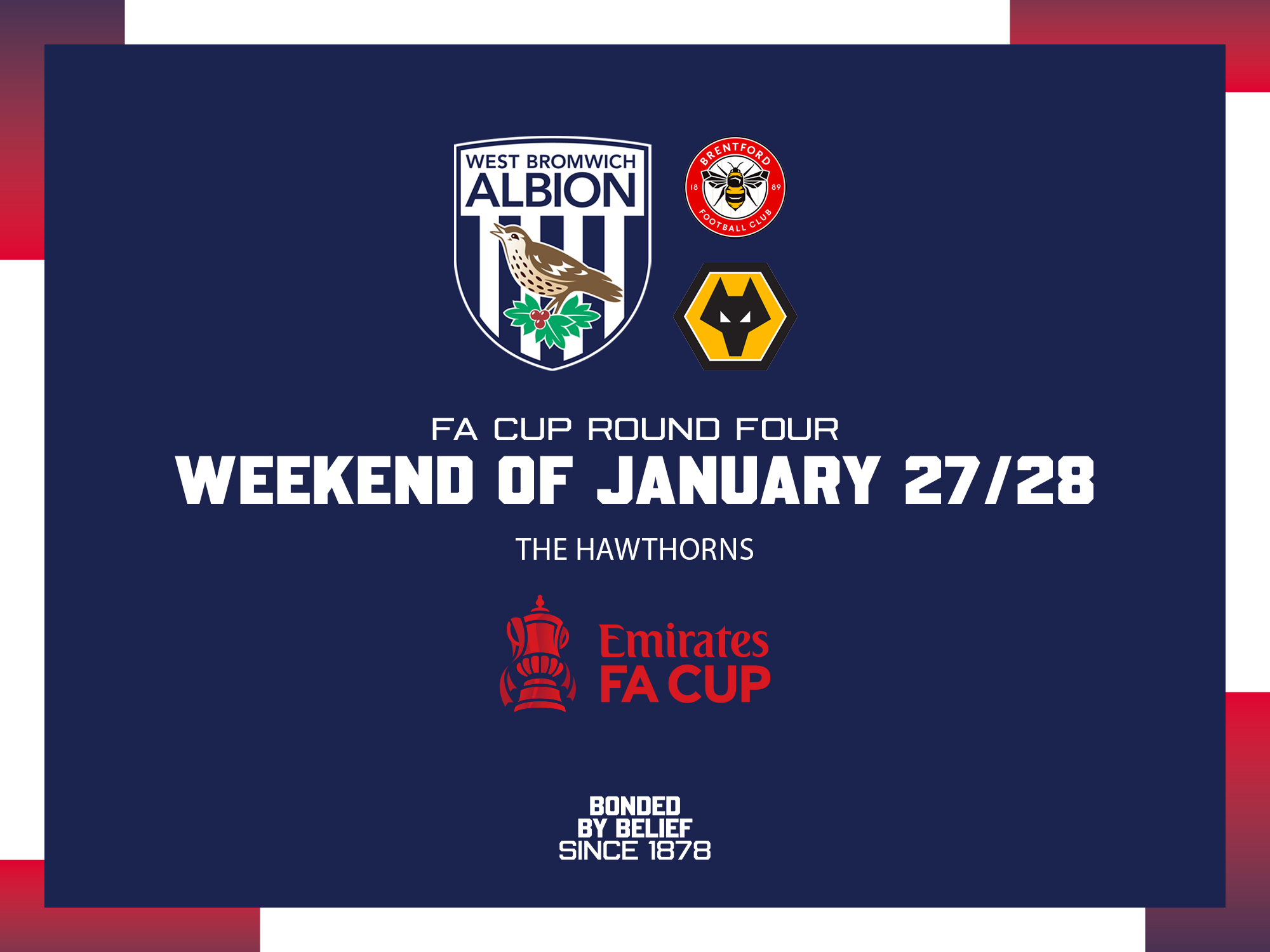 FA Cup round four graphic Albion badge next to Brentford and Wolves badges