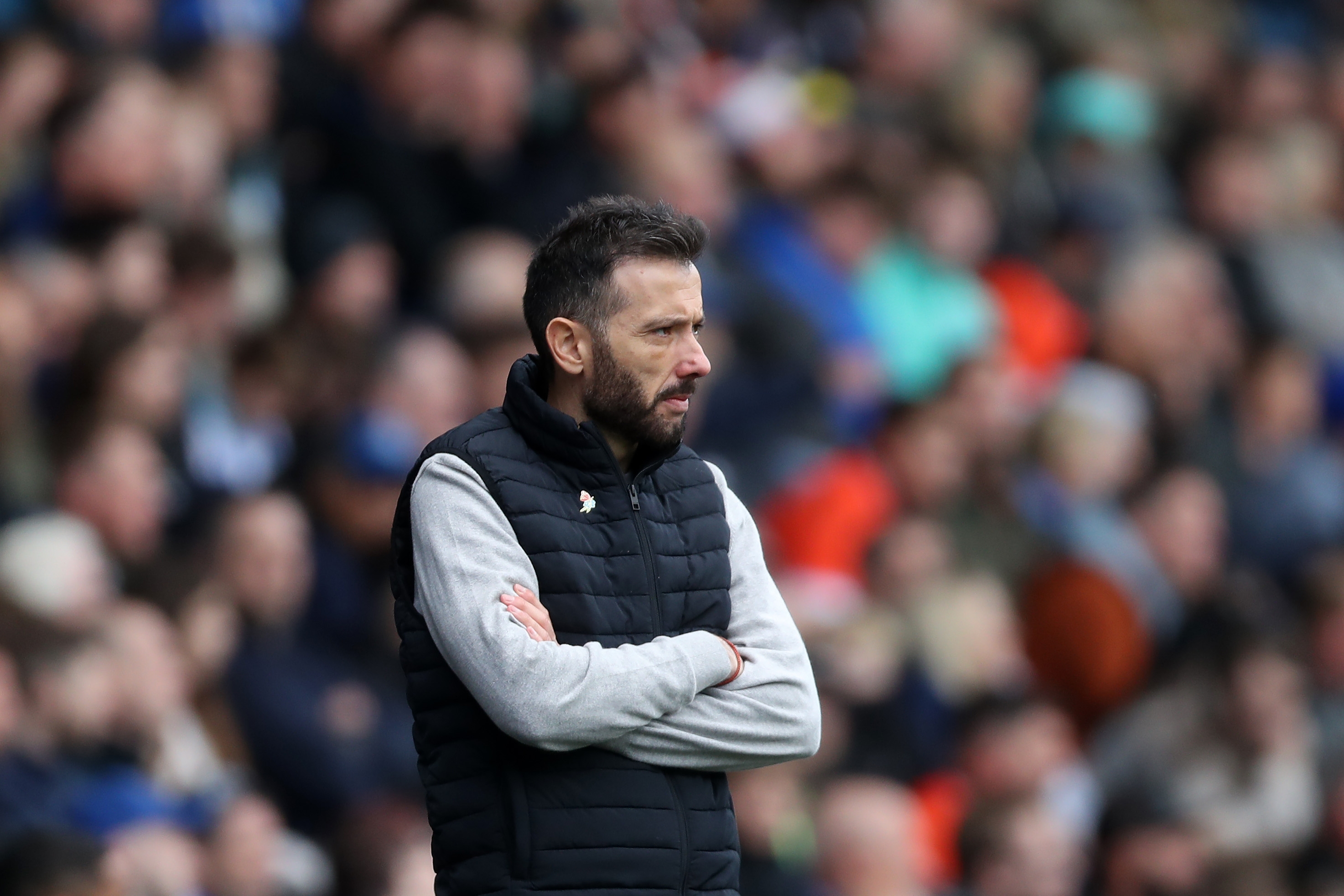 A dejected looking Carlos Corberán at Sheffield Wednesday 