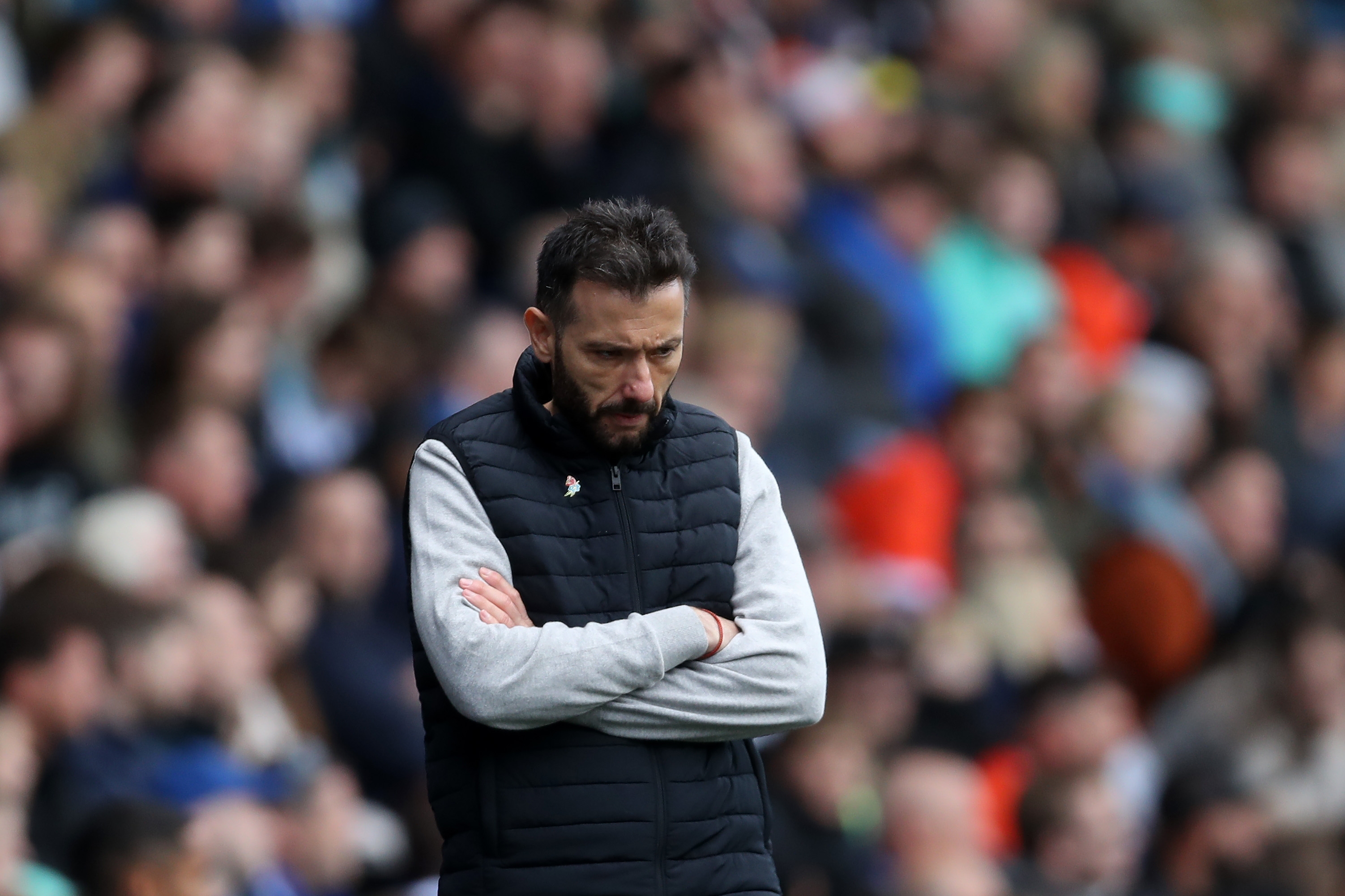 A dejected looking Carlos Corberán at Sheffield Wednesday 