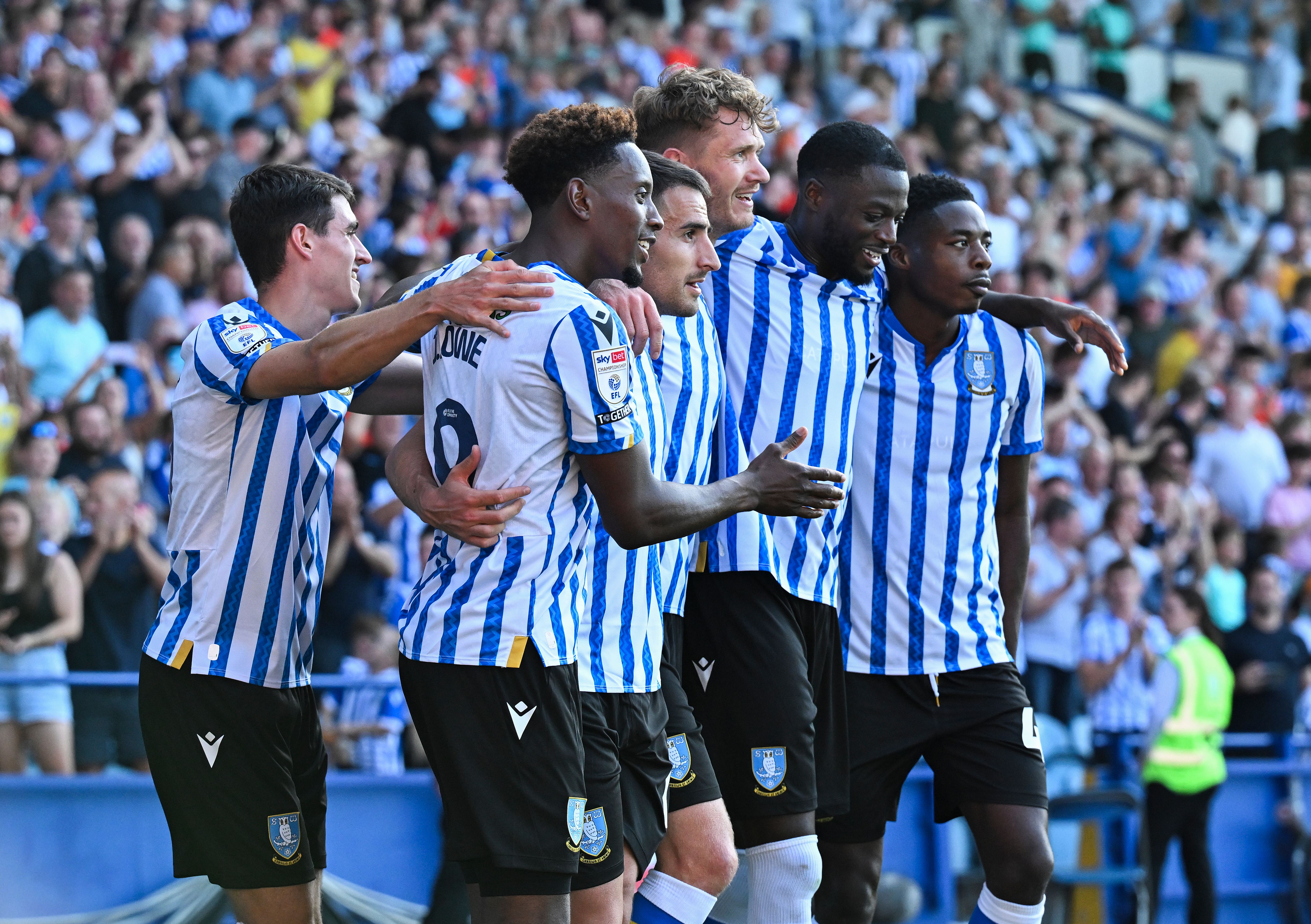 Several Sheffield Wednesday players celebrate a goal scored at Hillsborough 