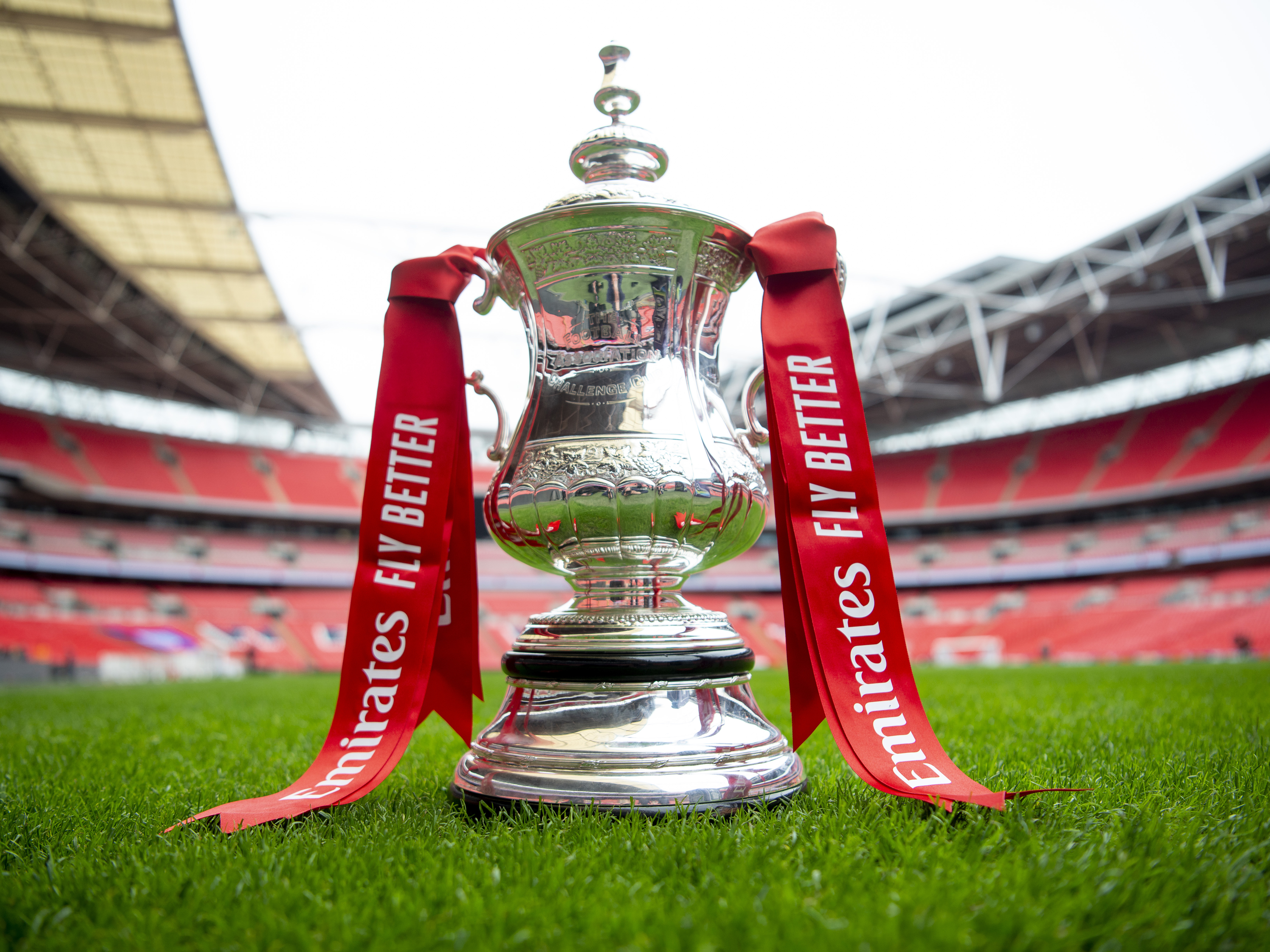 A general view of the Emirates FA Cup on the pitch at Wembley 