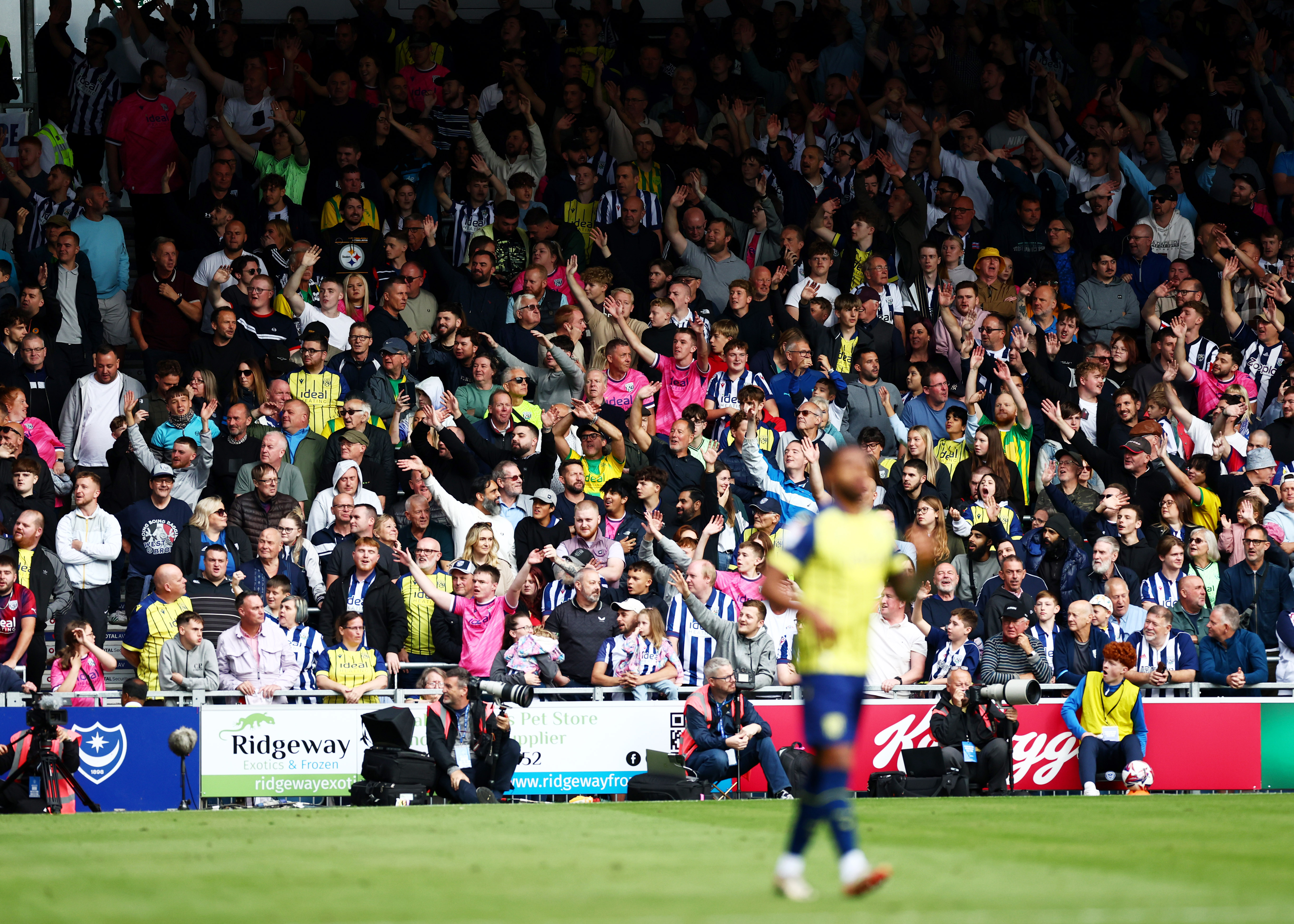 Albion fans supporting the team.