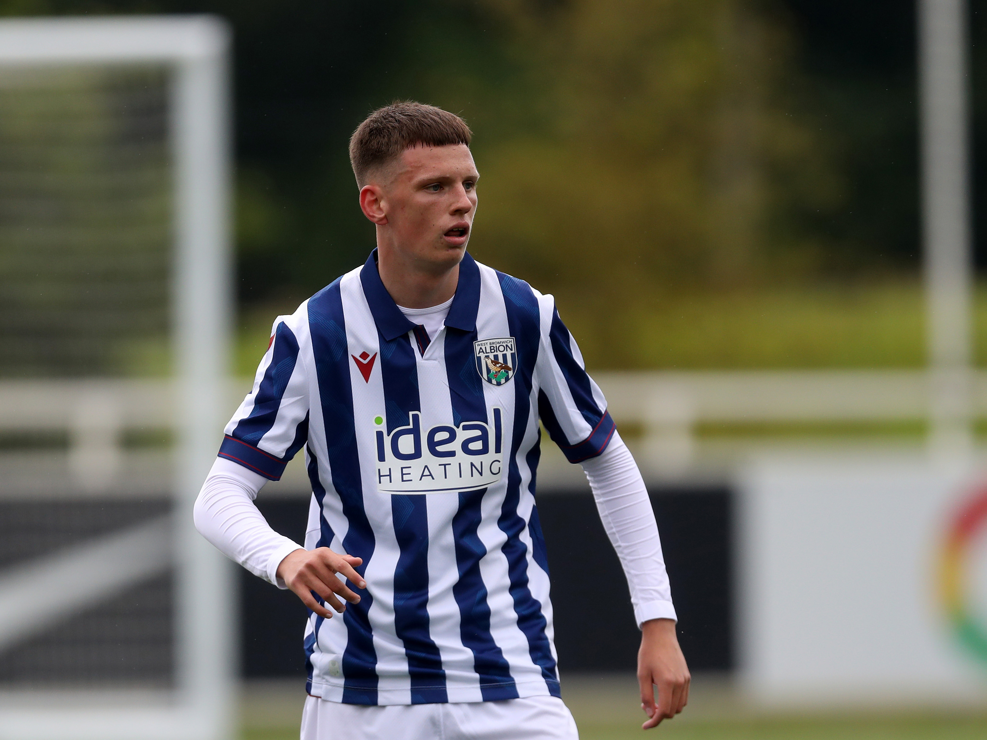 Reece Hall in action for Albion in the home kit 