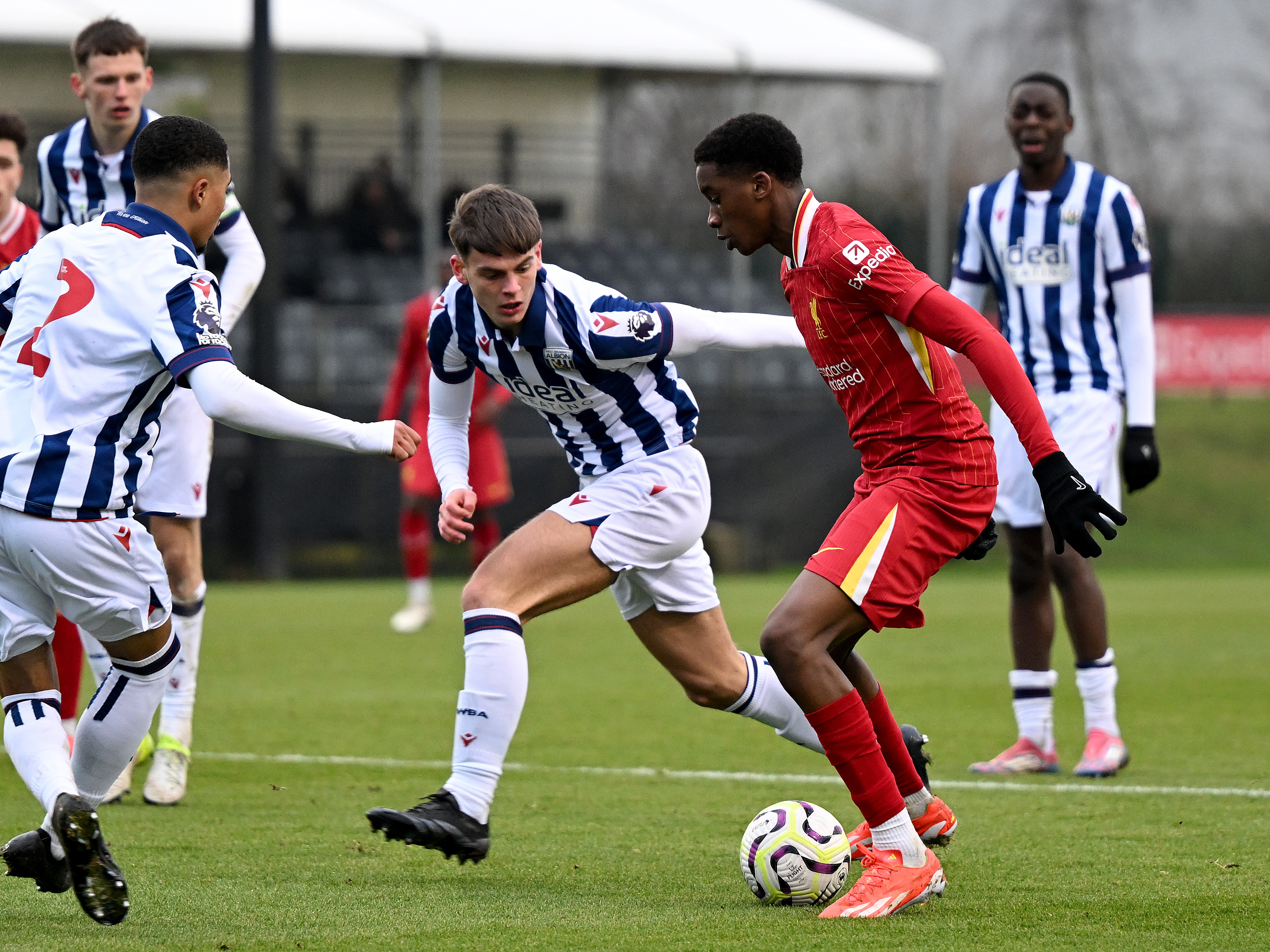 A photo of Albion U21s in action v Liverpool