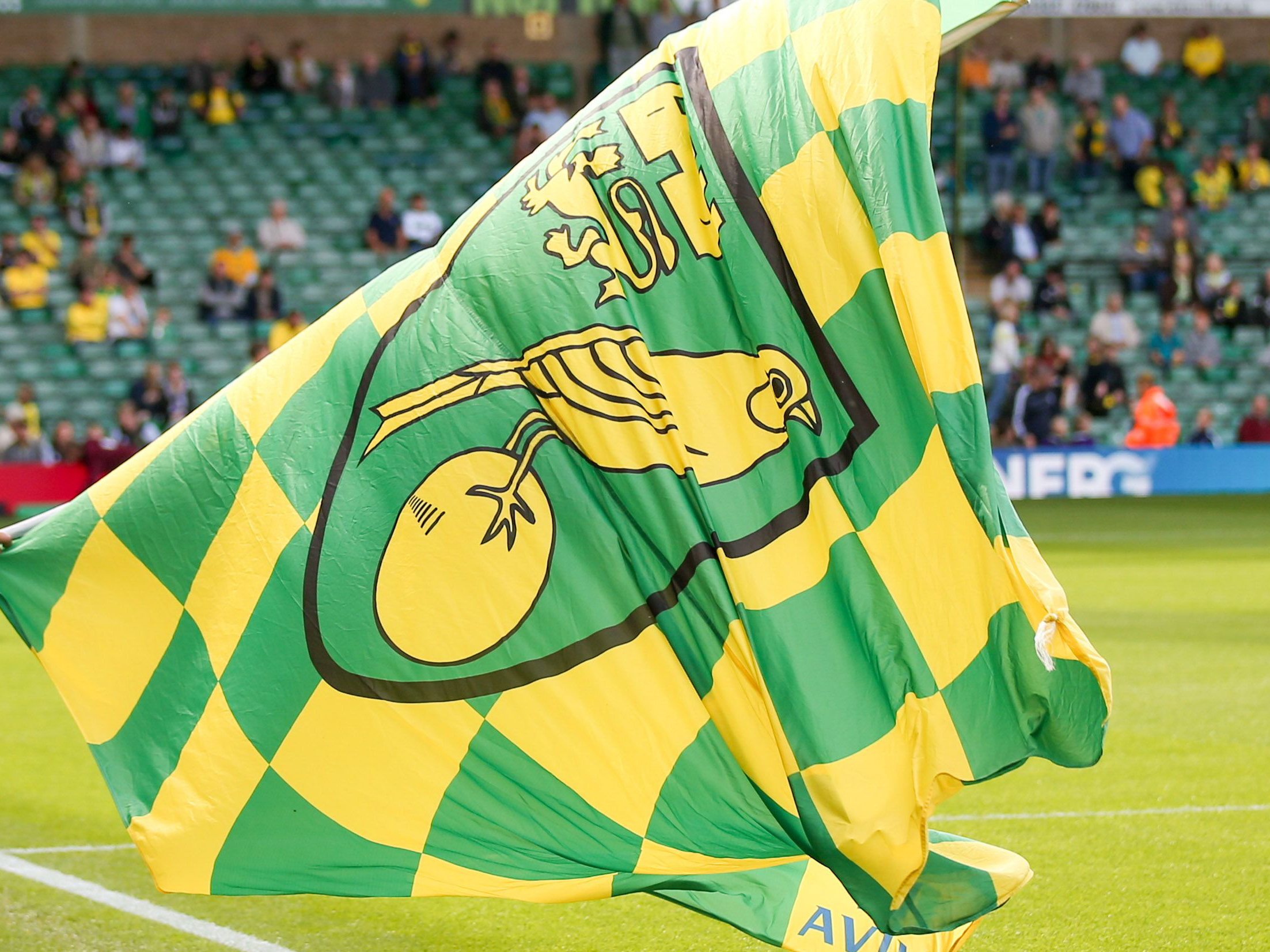 A Norwich City flag 