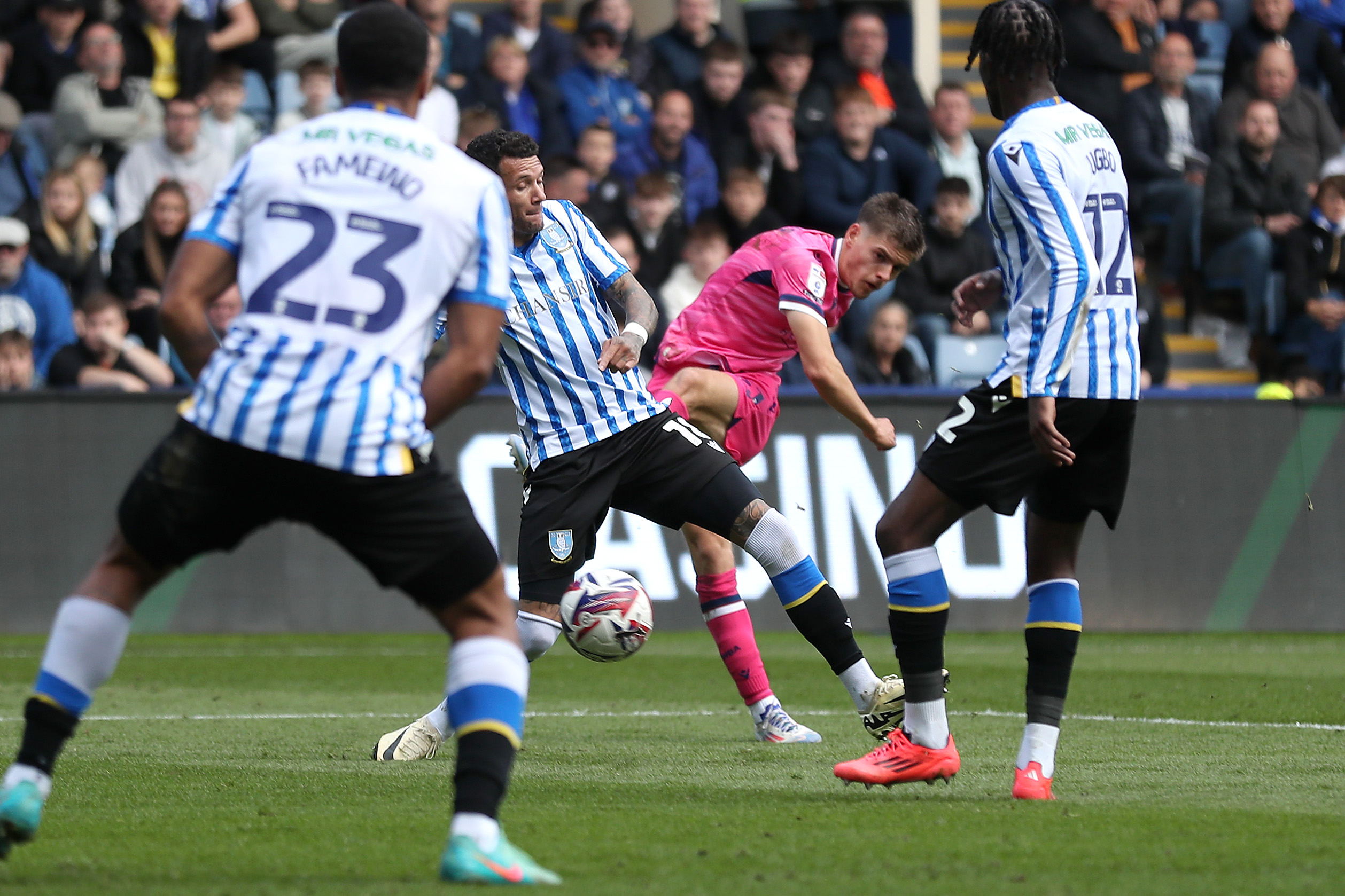 Tom Fellows shooting at goal against Sheffield Wednesday while wearing the pink kit 