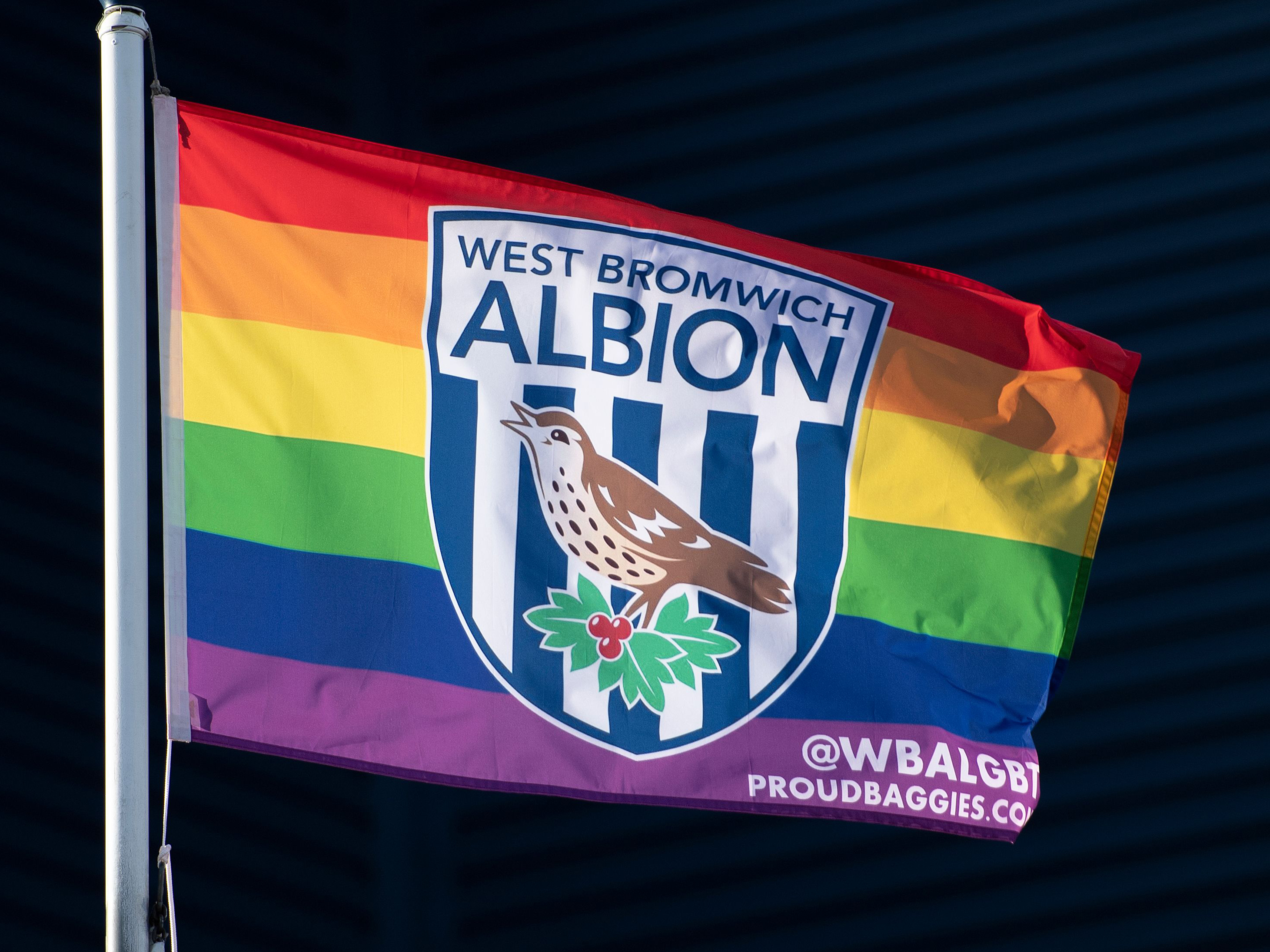 A rainbow flag with a West Bromwich Albion crest in the middle