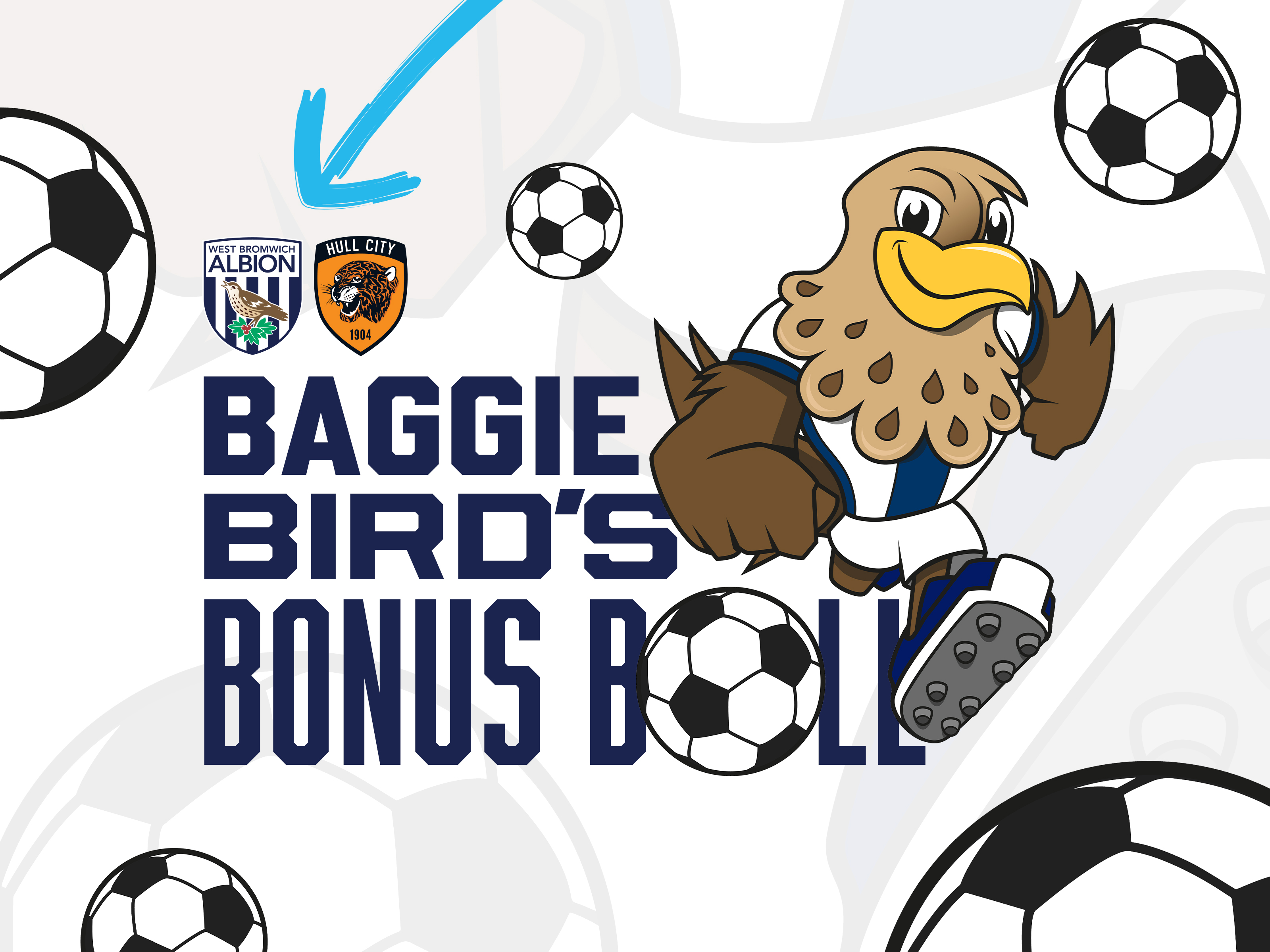 Baggie Bird's Bonus Ball - WBA v Hull City