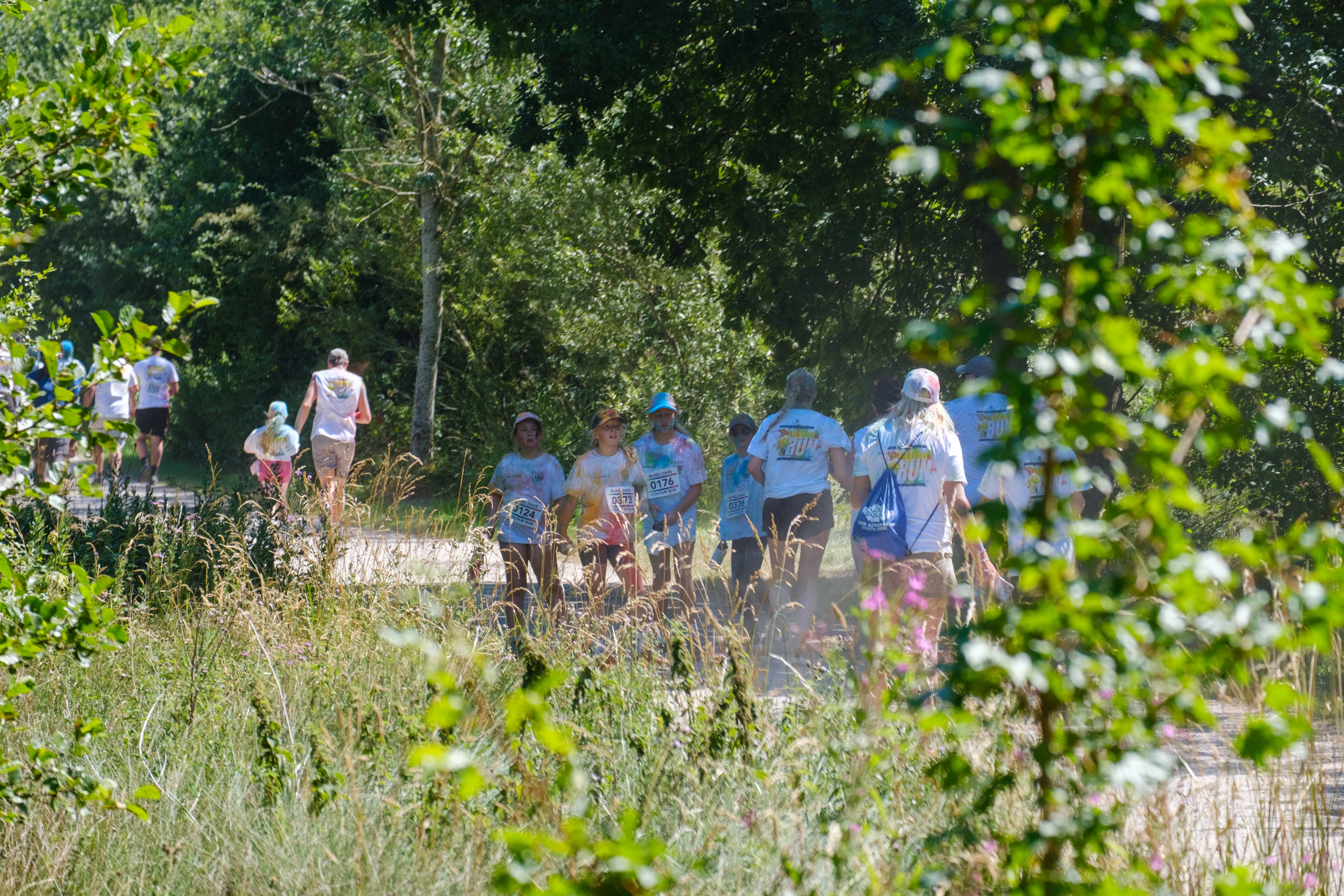 Runners in the distance, trees and greenery in the foreground.