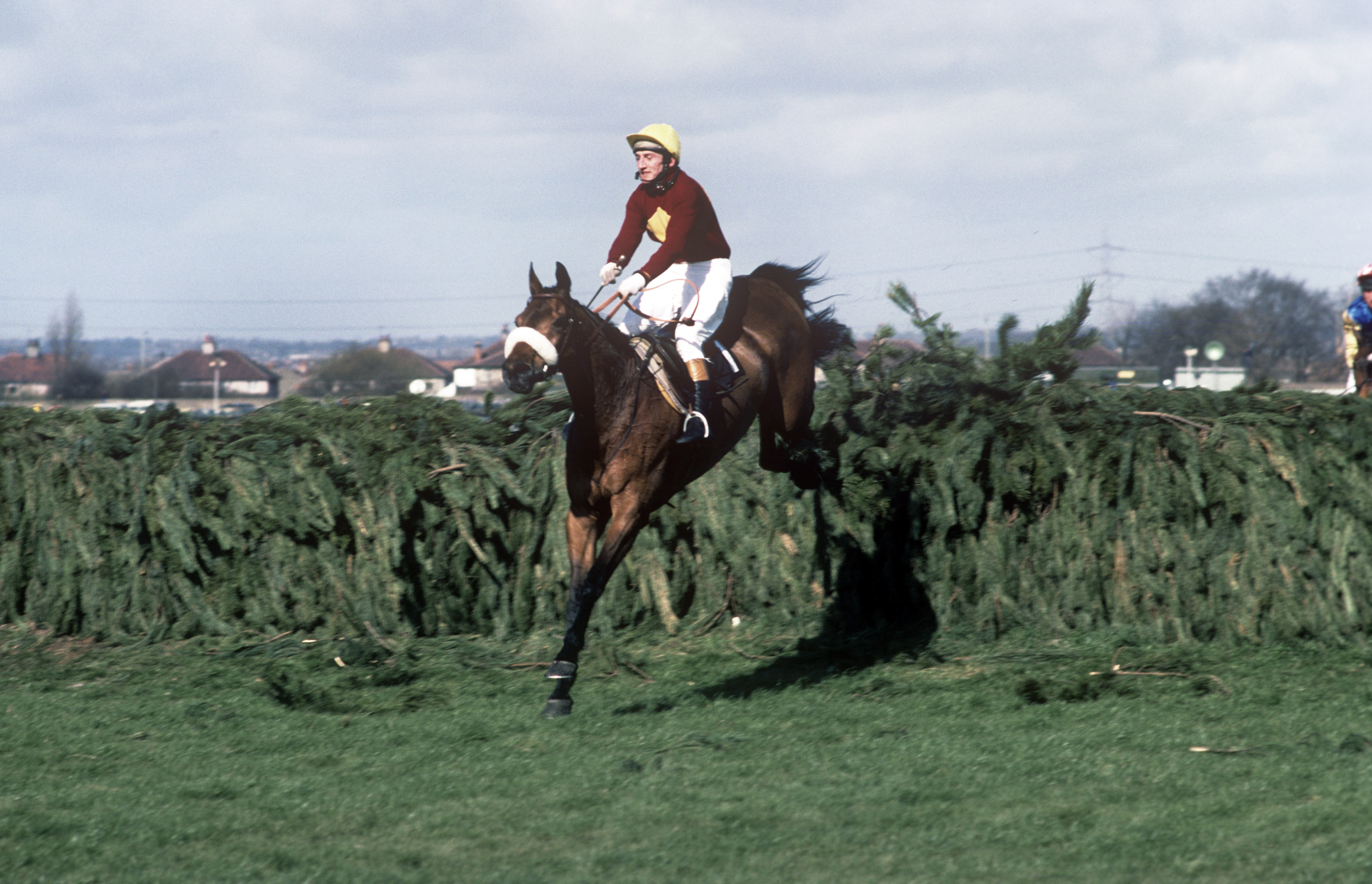 Red Rum