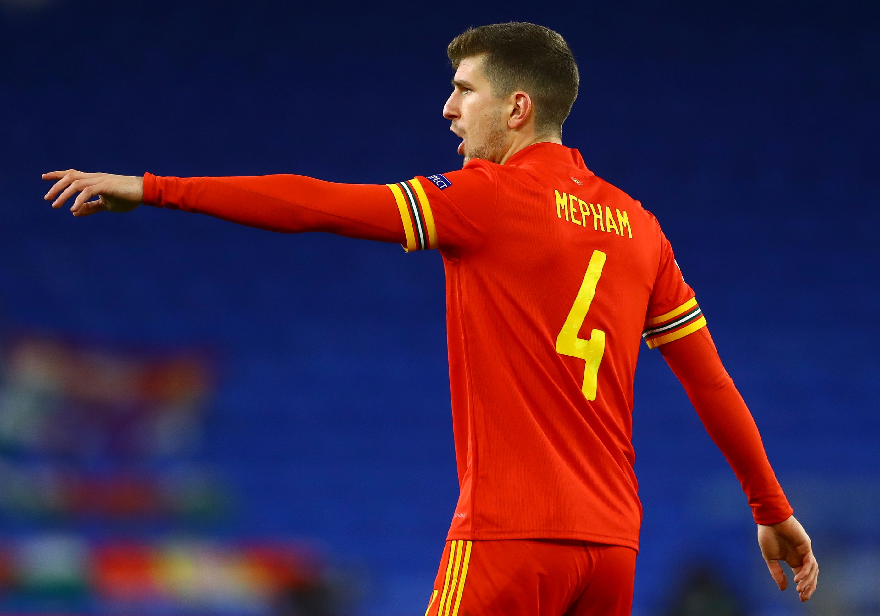 Chris Mepham in action for Wales in their home kit