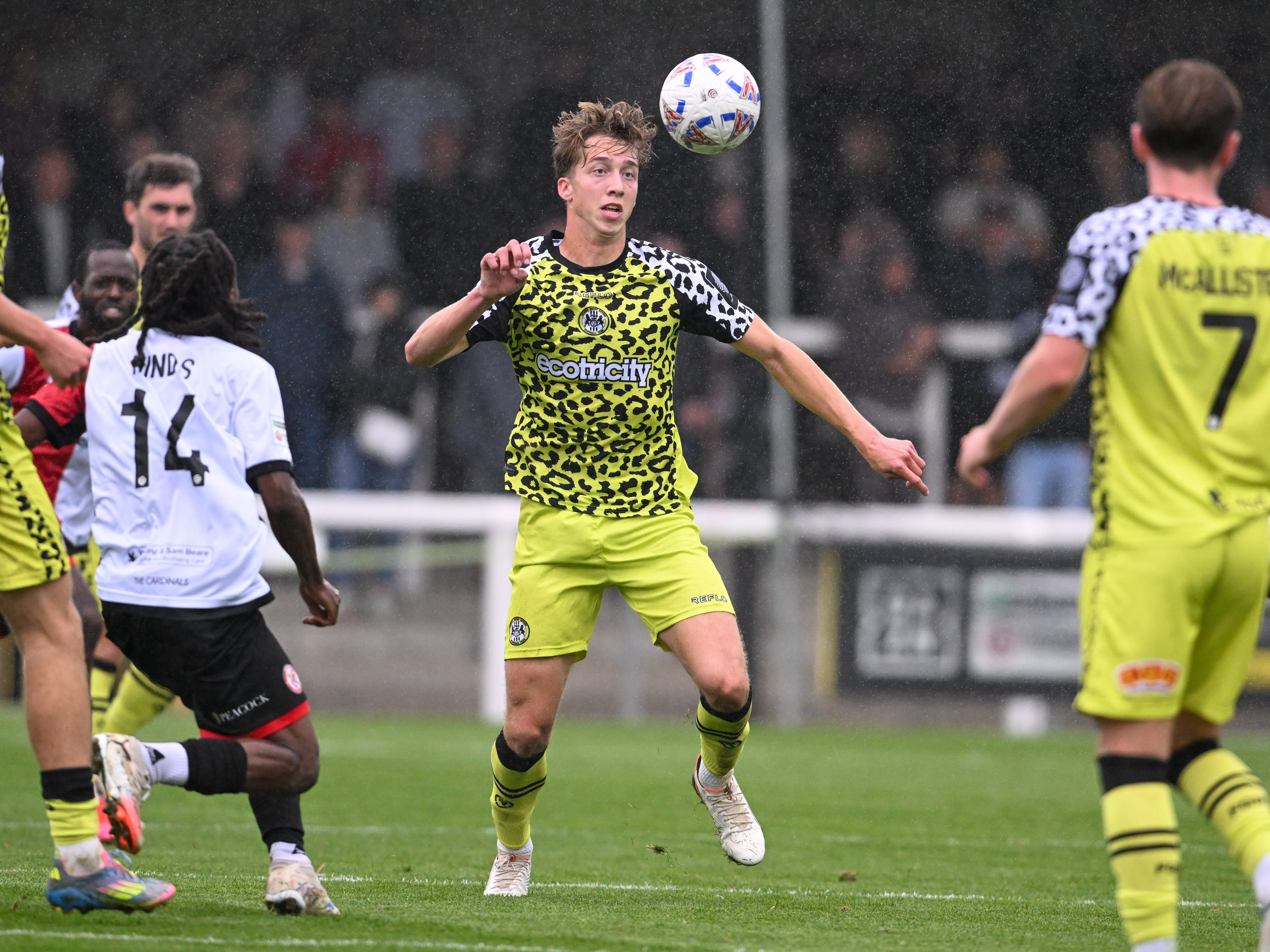 A photo of Albion midfielder Harry Whitwell in action for loan club Forest Green