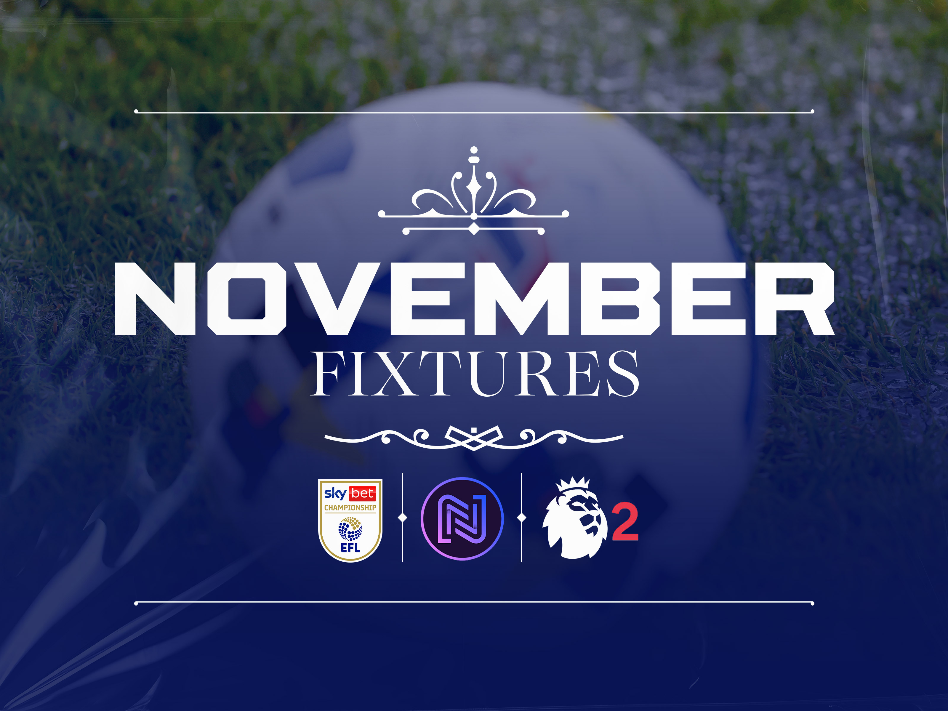 Albion's November fixtures graphic