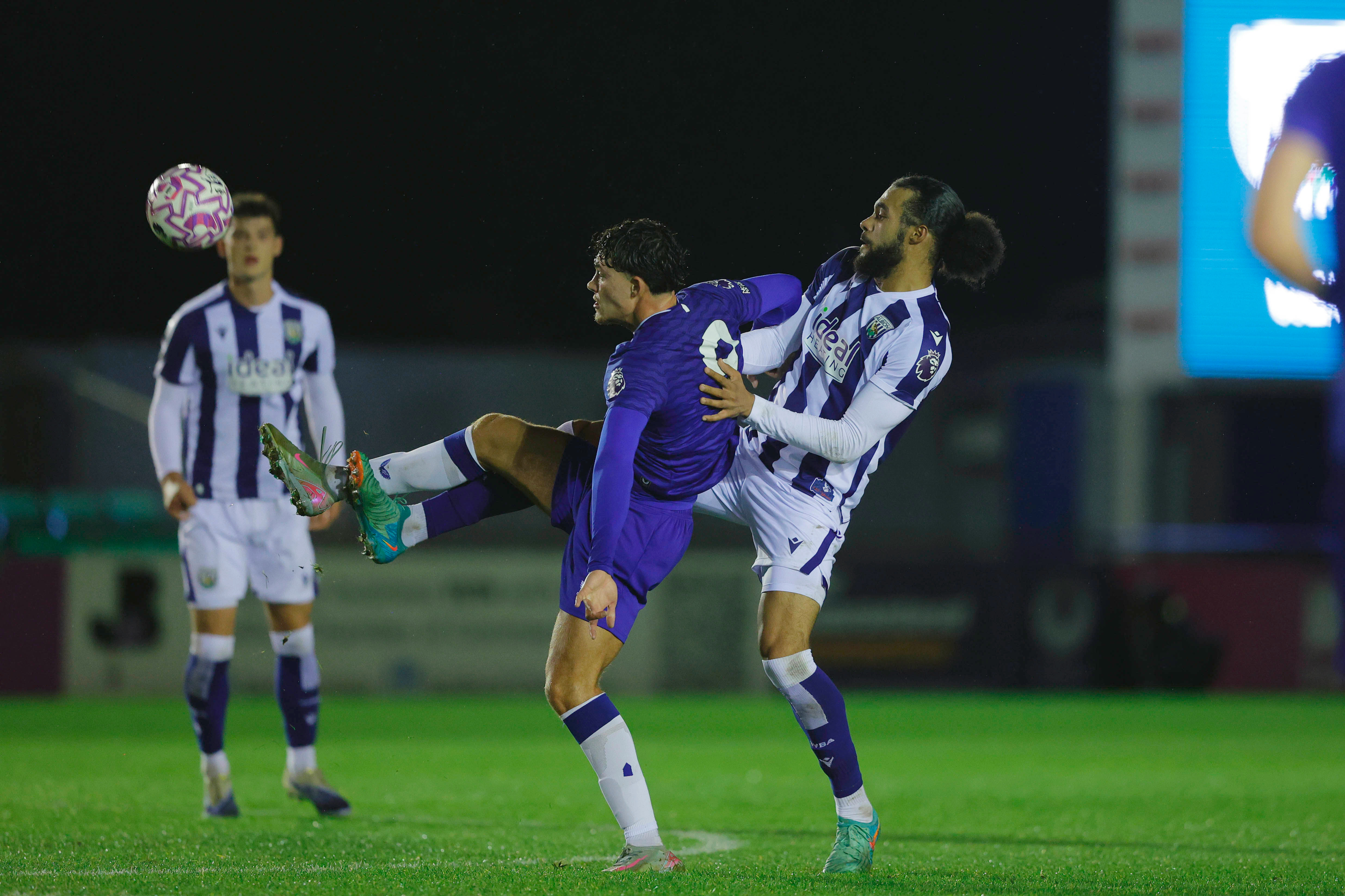 Albion in action against Everton.