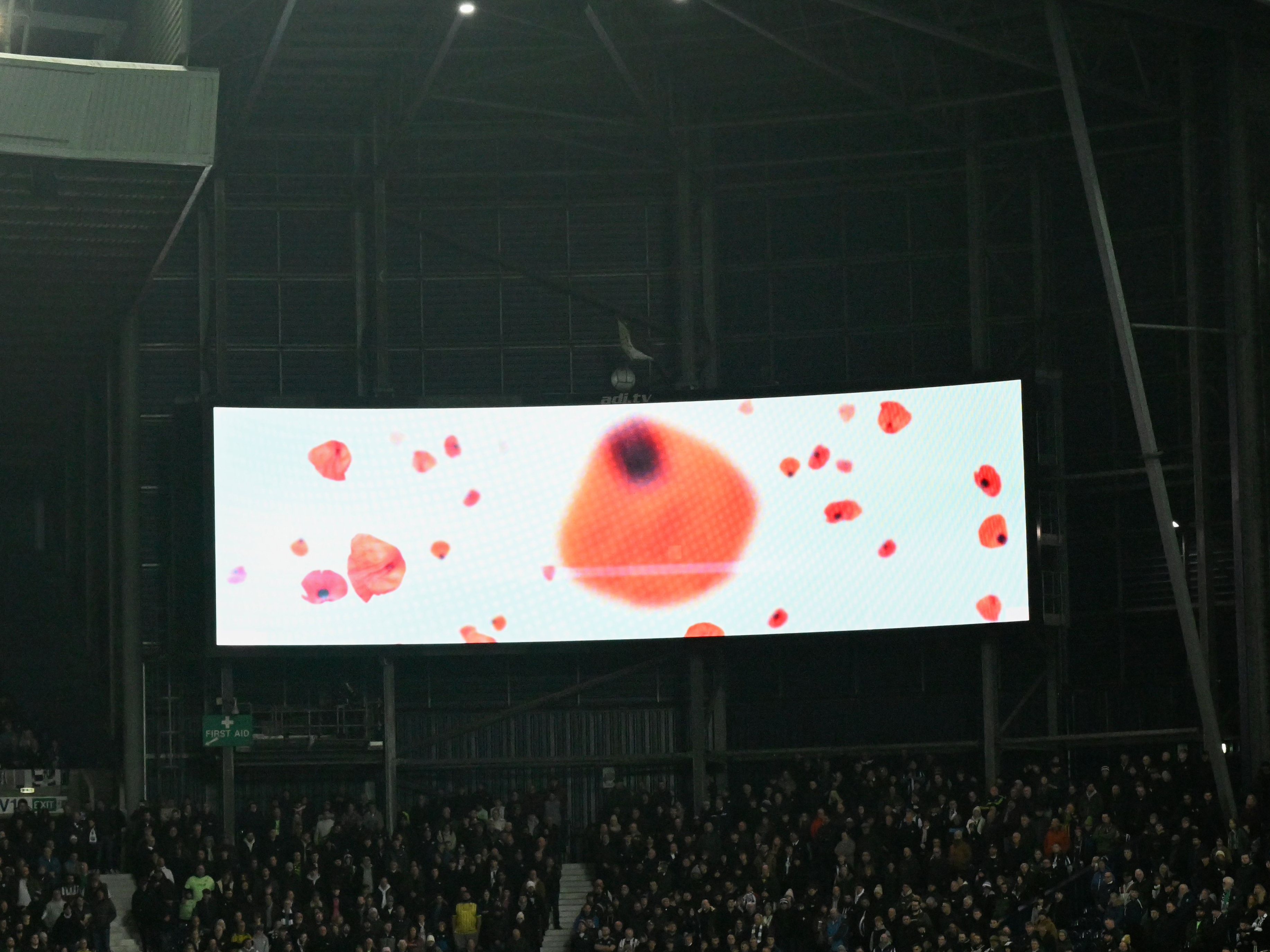 An image of poppies on the big screen at The Hawthorns