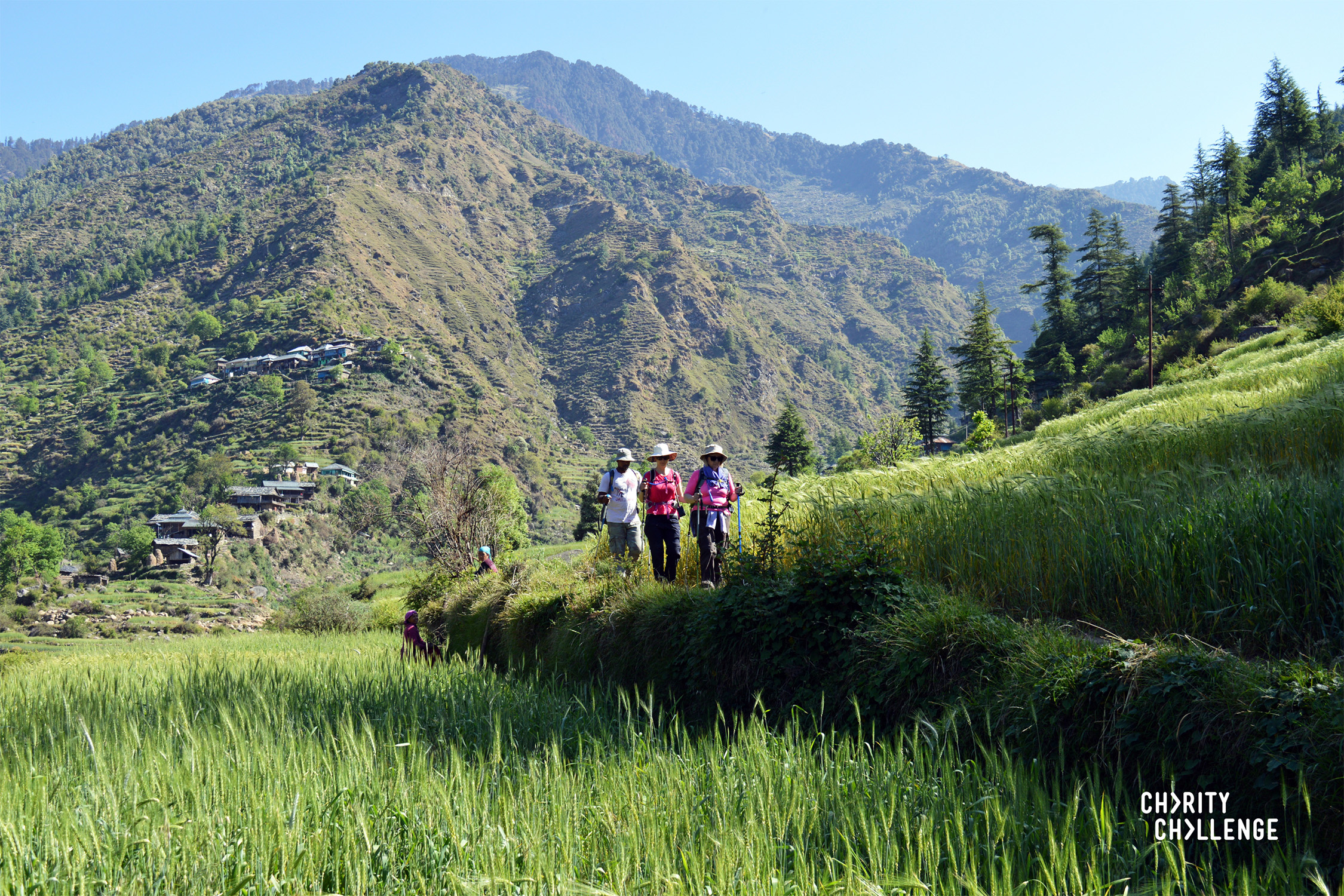 Mountain scenery with trees in the background.