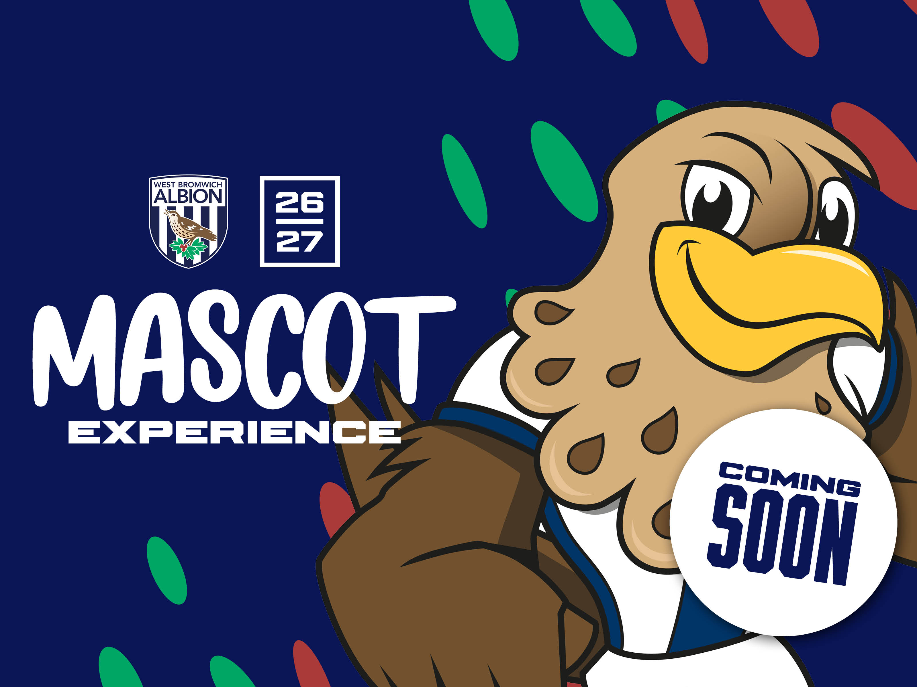 2026/27 Mascot Experience