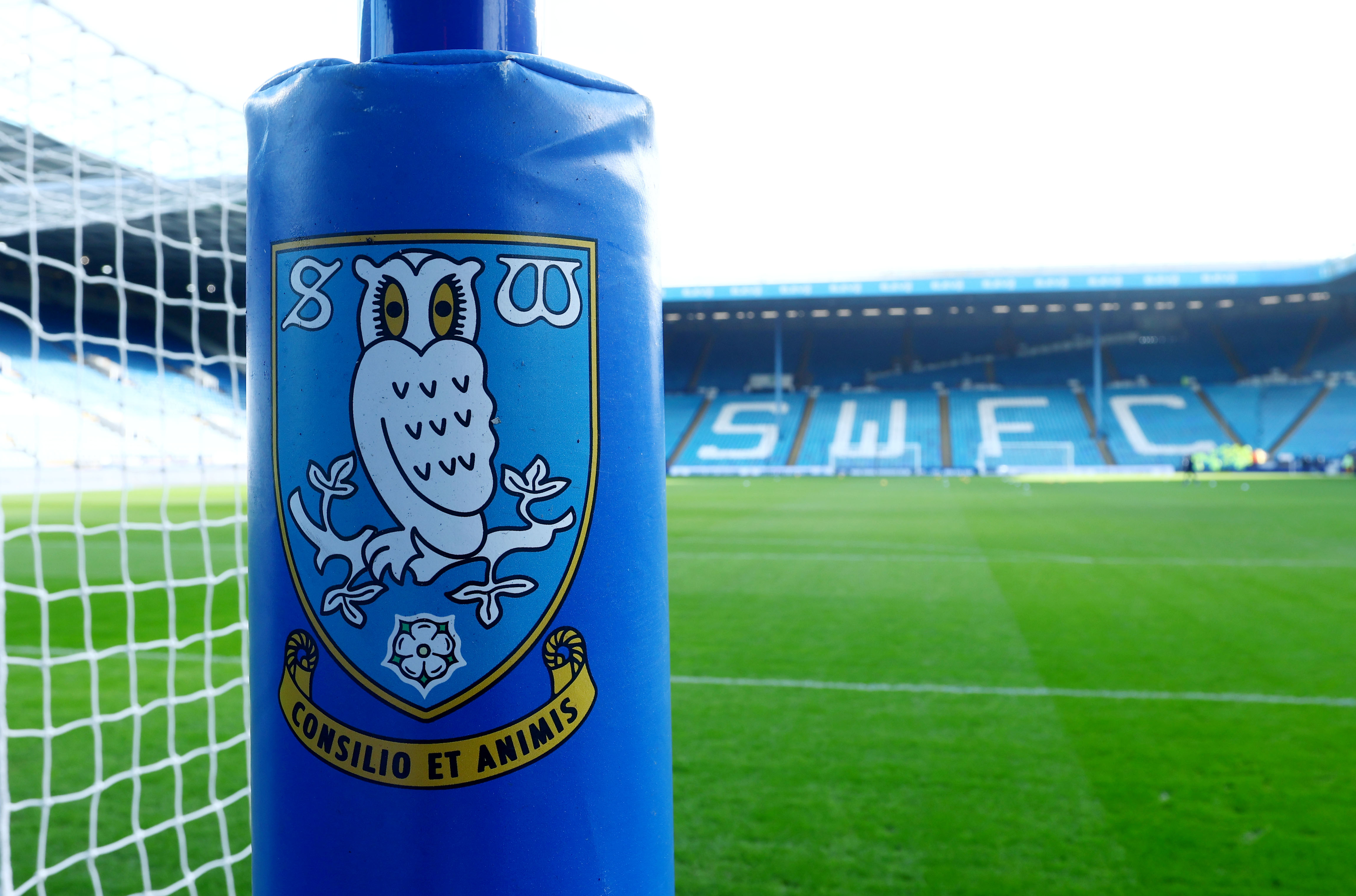 A general view of Hillsborough.