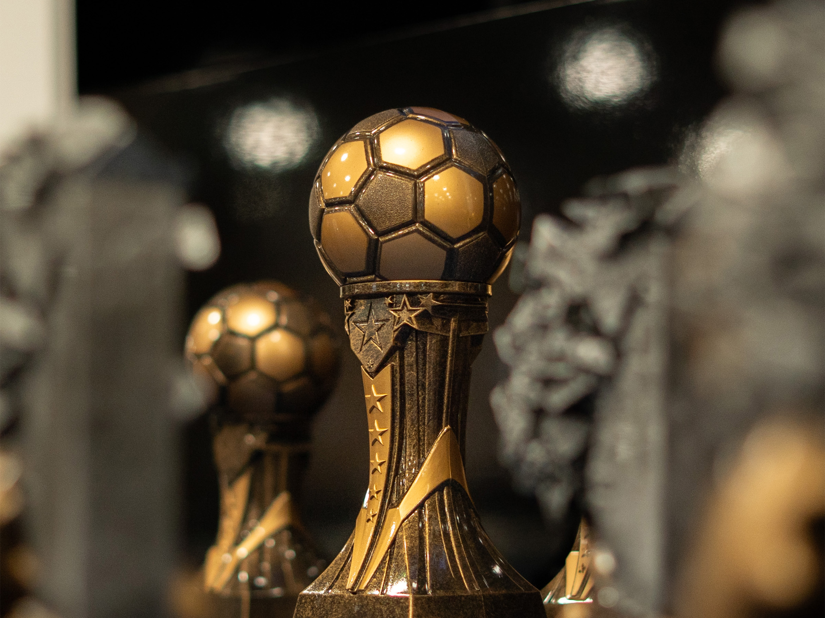 Close-up of a trophy
