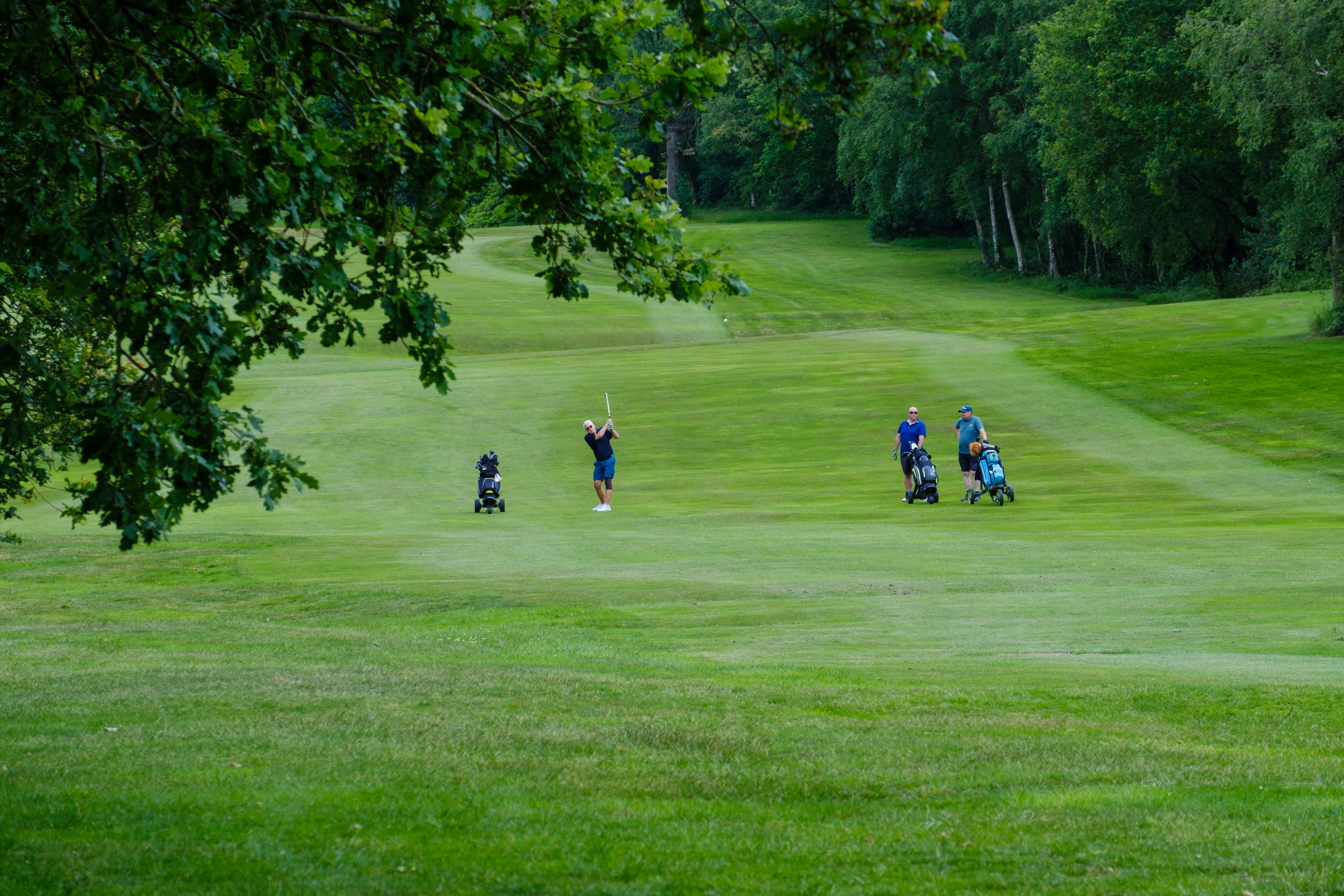 Golfers walking through the course