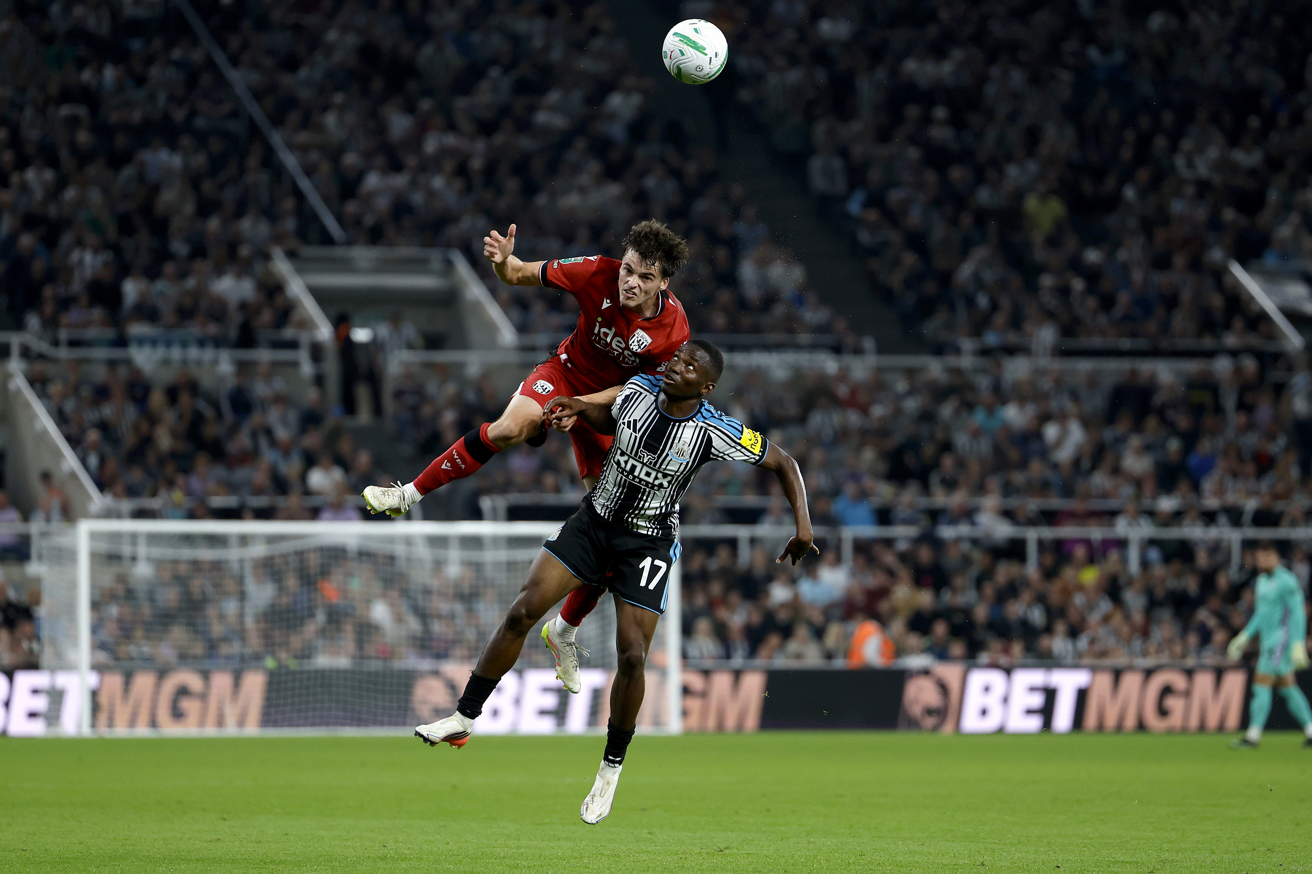 Alex Williams against Newcastle