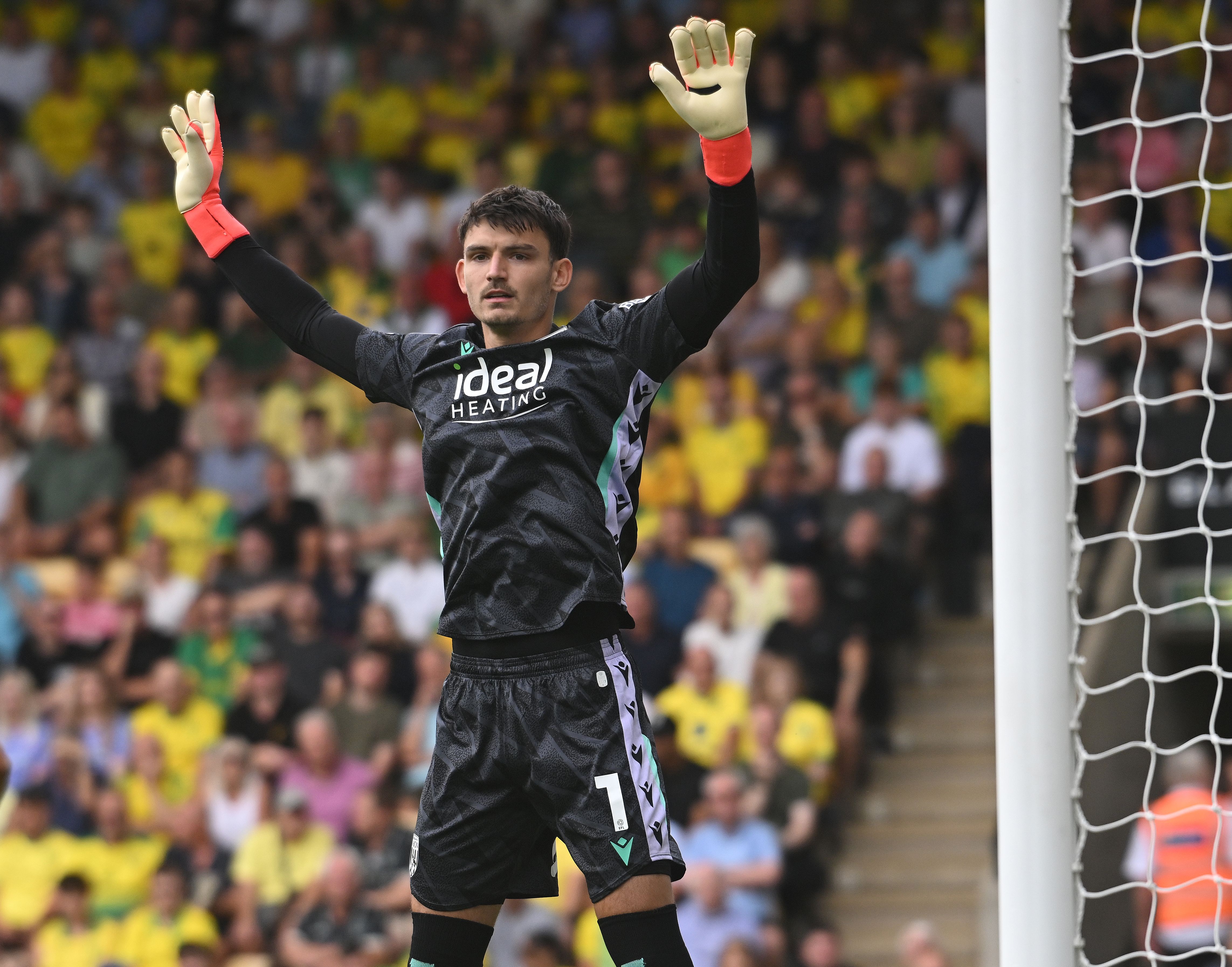 Max O'Leary with his hands in the air during the game against Norwich