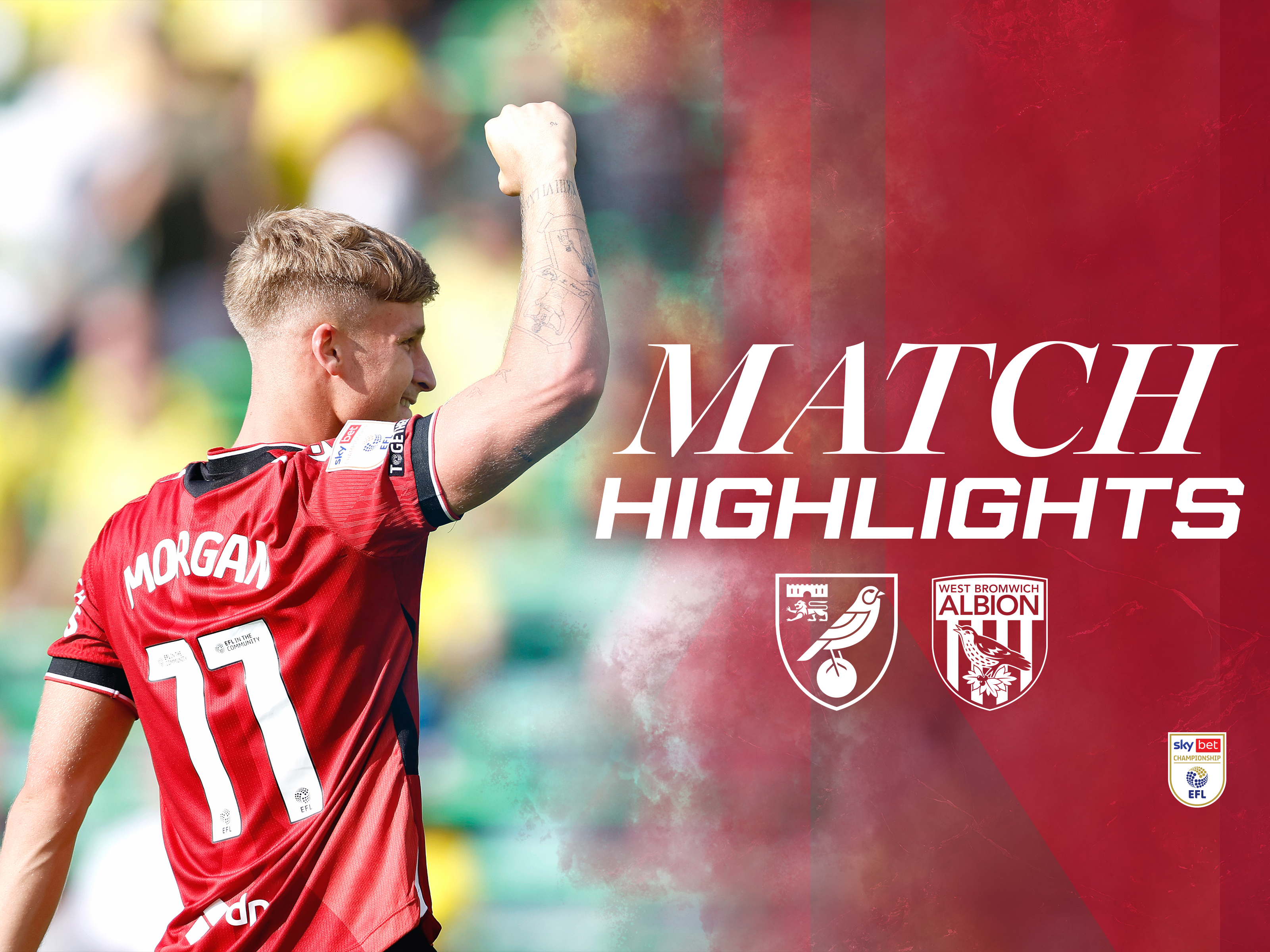 Match Highlights
