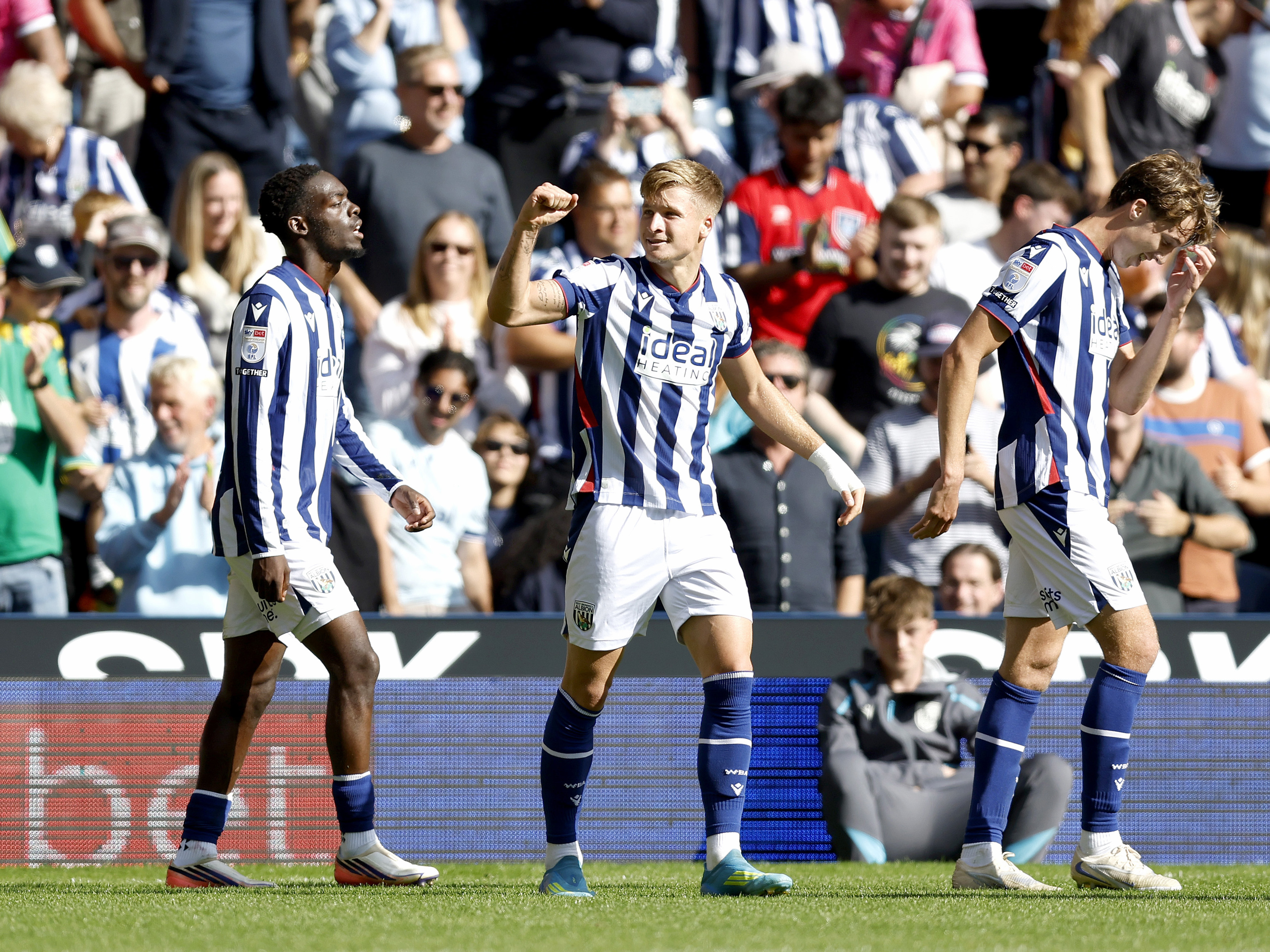 An image of Albion celebrating JJ Morgan's goal against Watford