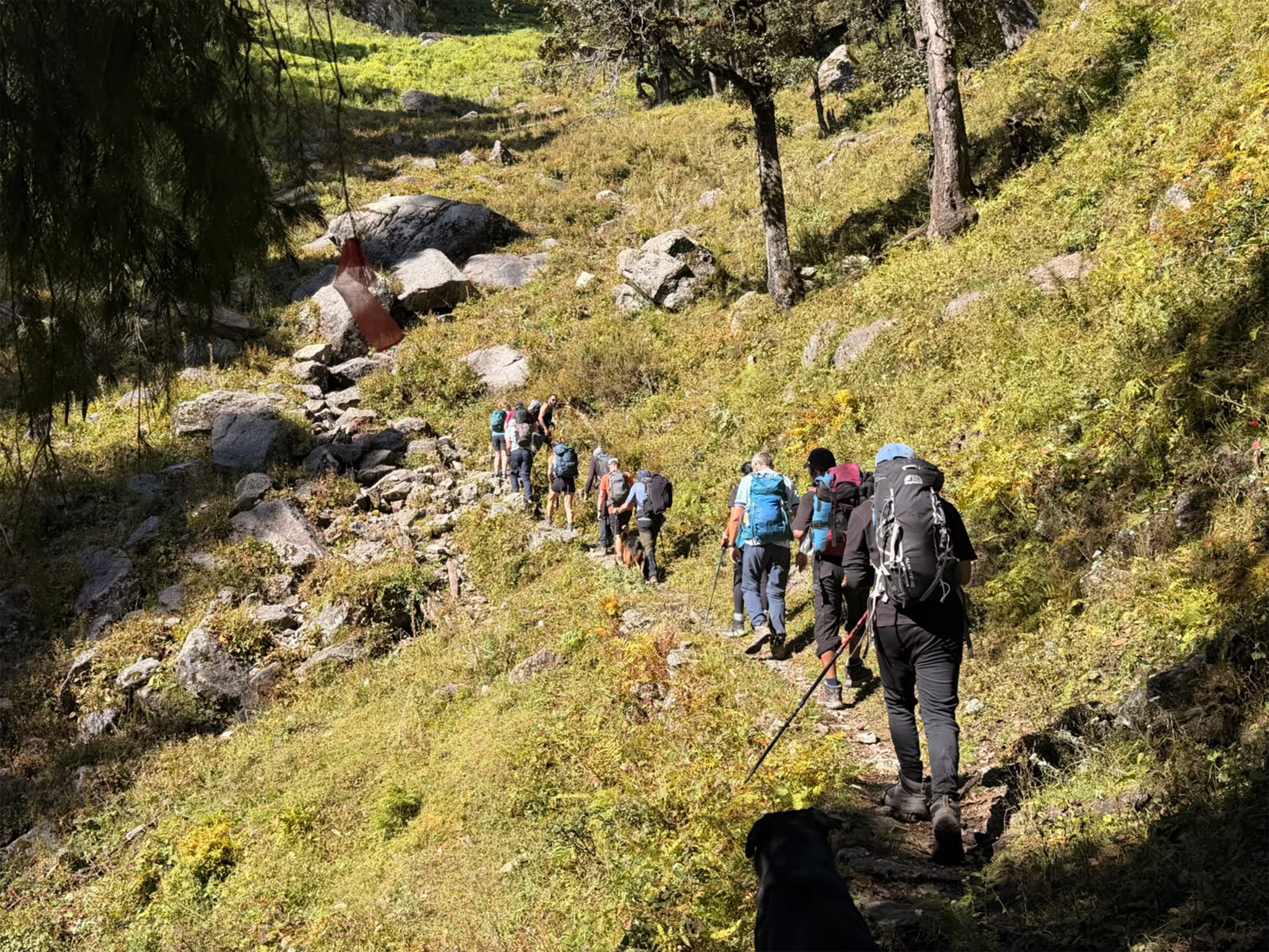 Dalai Lama Himalayan Trek participants hike along a rocky mountain path through woodland, carrying backpacks and trekking poles as they make their way uphill, with a dog following behind.