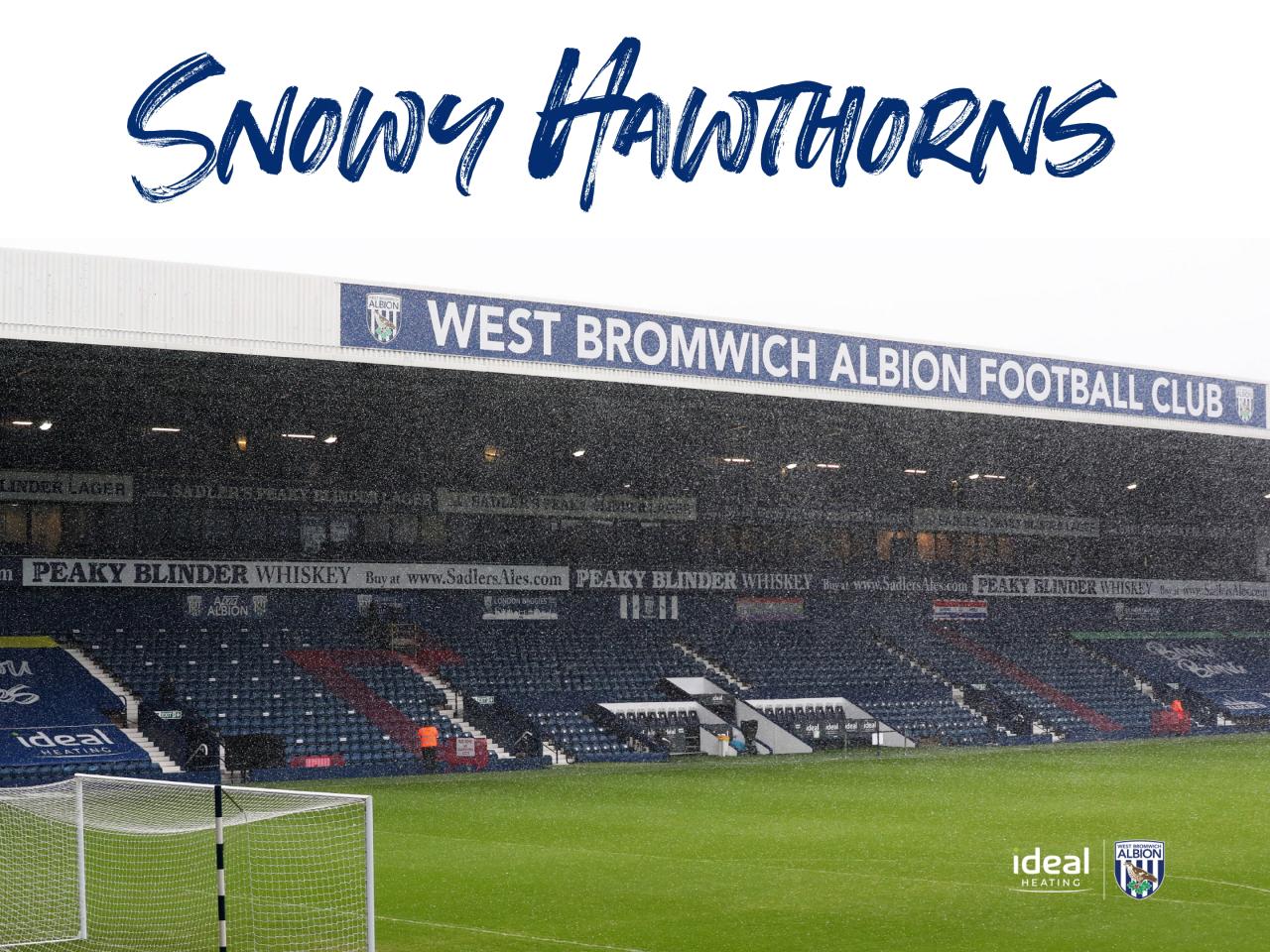 Snowy Hawthorns