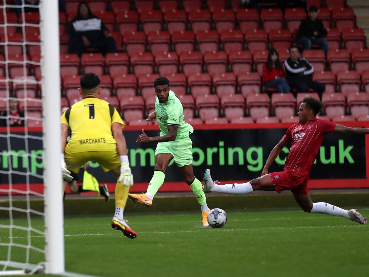 Cheltenham friendly 5