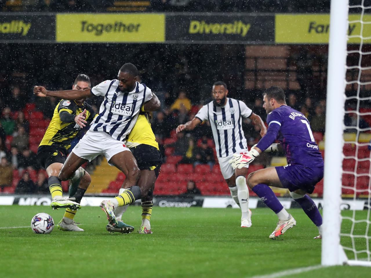 Albion in action against Watford.