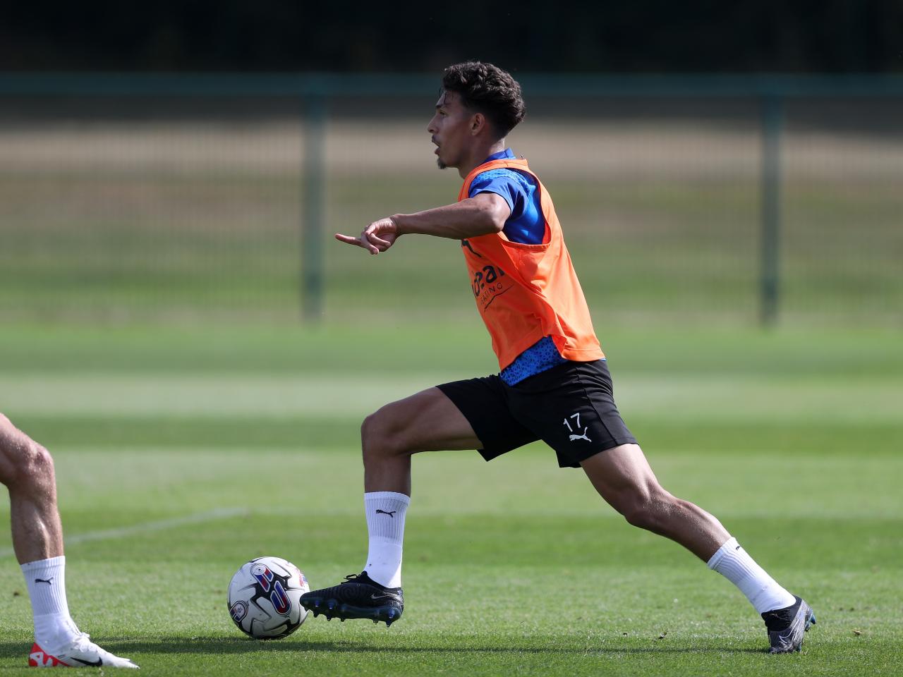 Albion players take part in training over the international break.