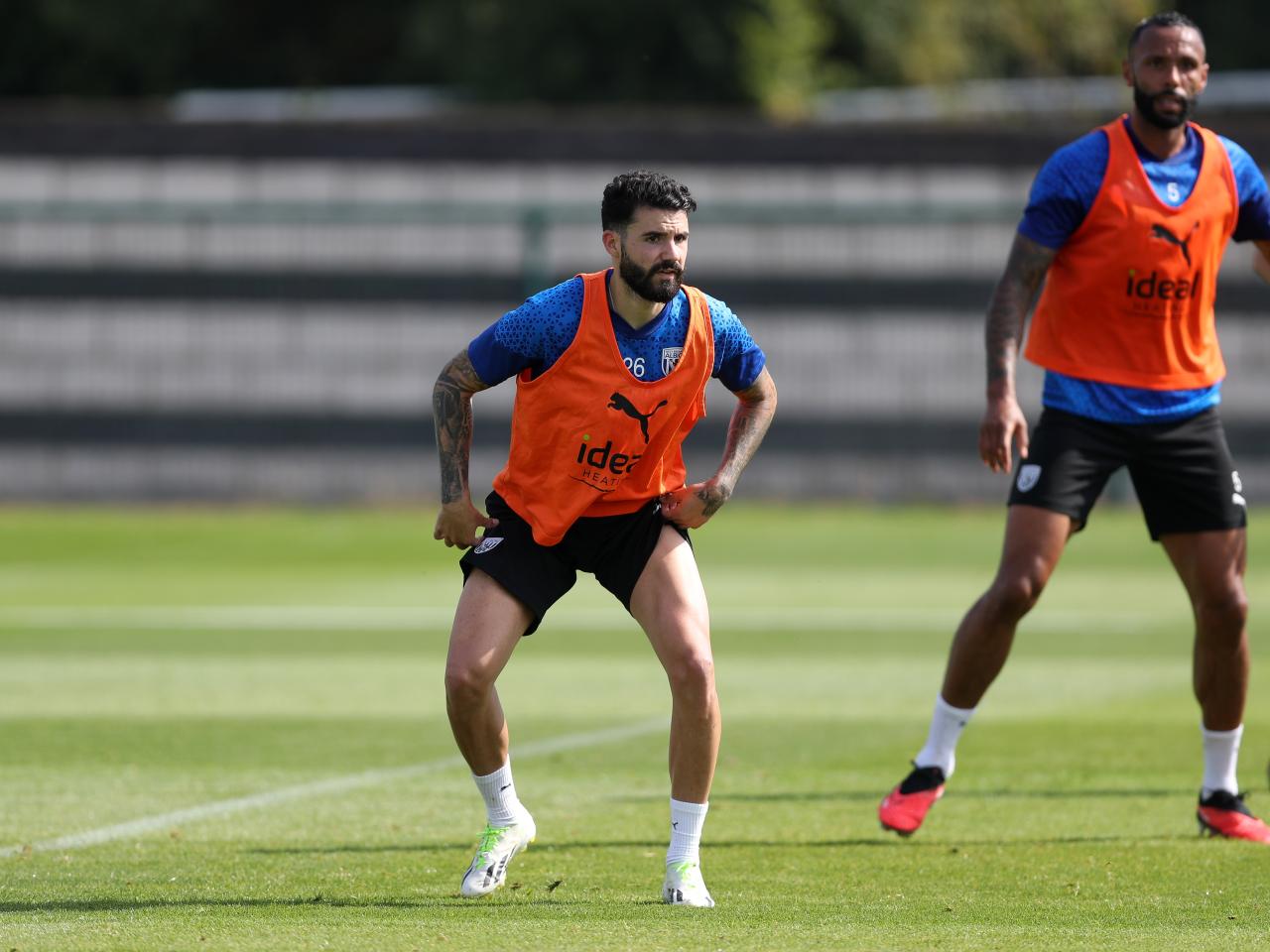 Albion players take part in training over the international break.