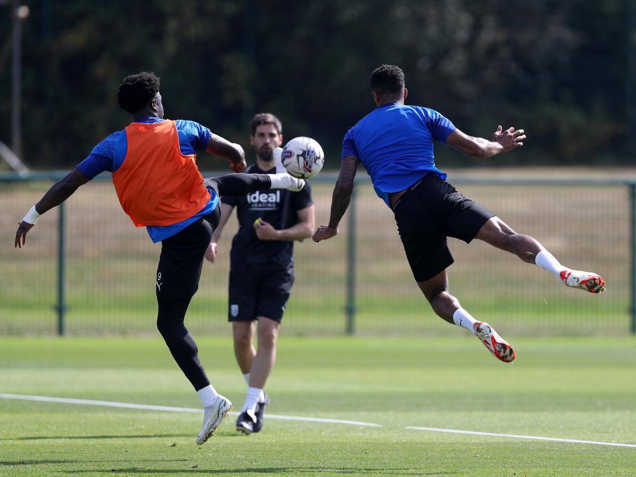 Albion players take part in training over the international break.