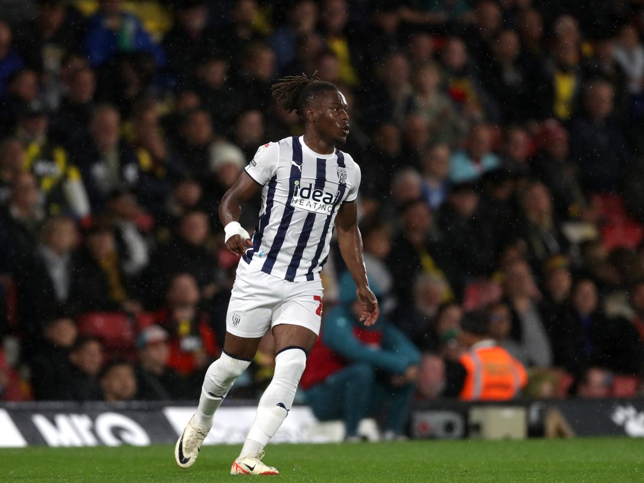 Albion in action against Watford.