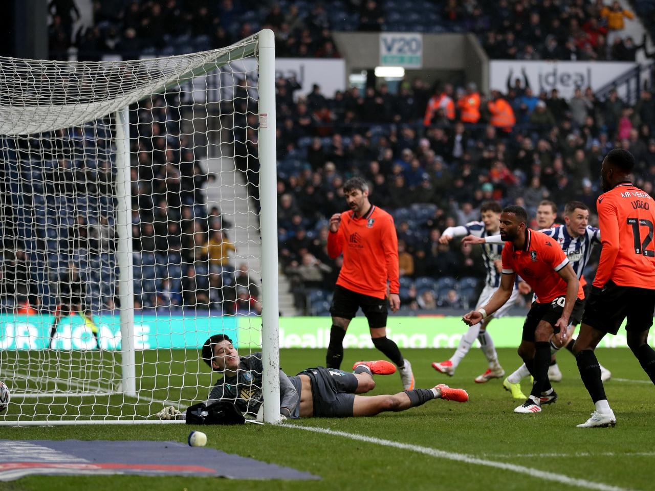 Jayson Molumby scores against Sheffield Wednesday
