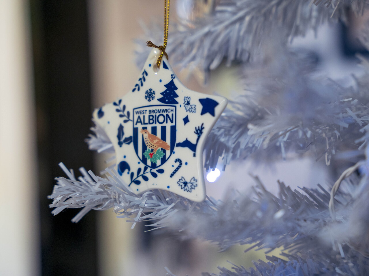 A general photo of the Albion Alcove club shop in West Bromwich